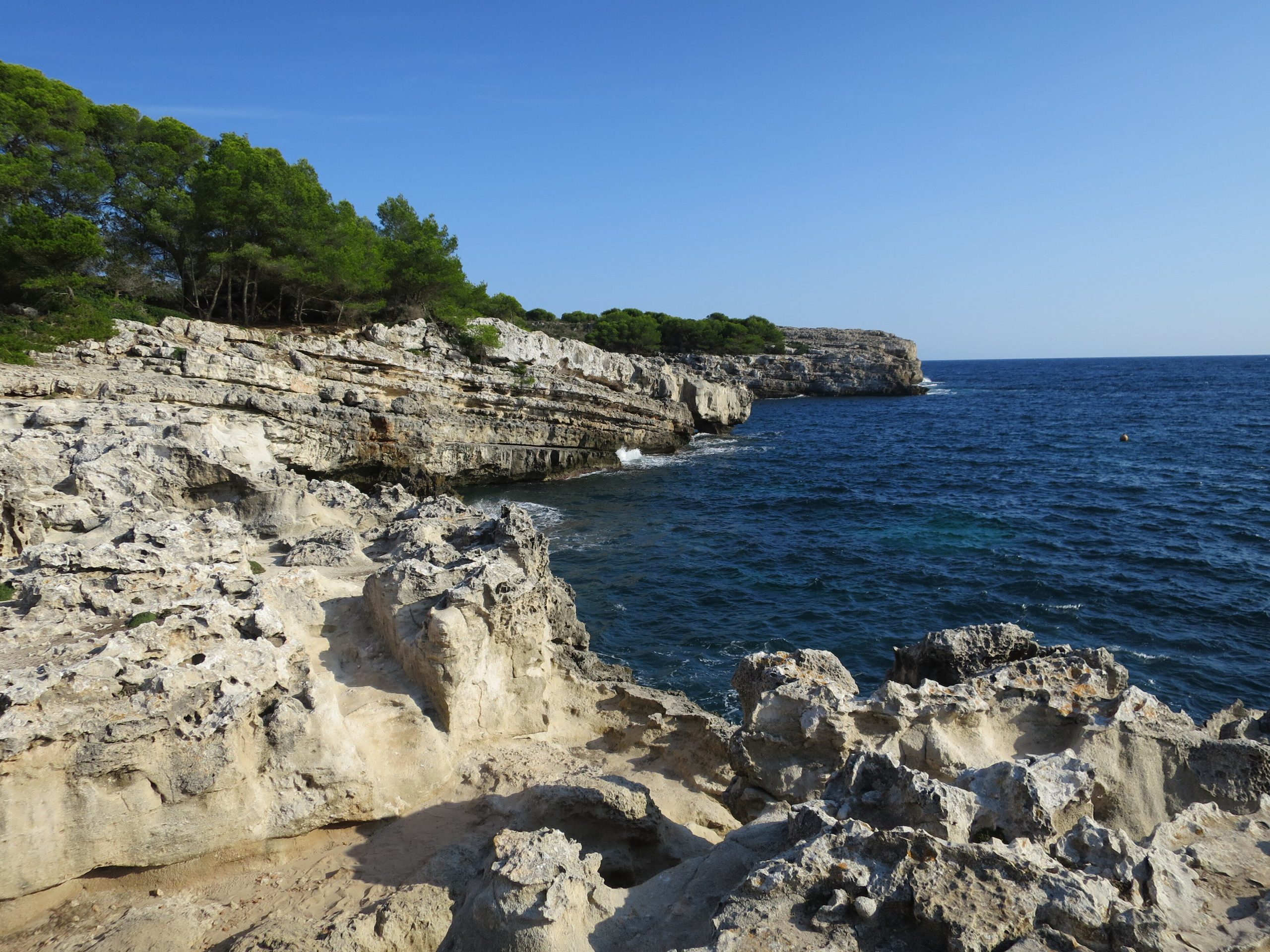 Menorca met kinderen: de beste stranden, tips en bestemmingen 2 Het ondiepe turquoise water van Cala en Turqueta op Menorca, met wit zand tussen beboste rotswanden