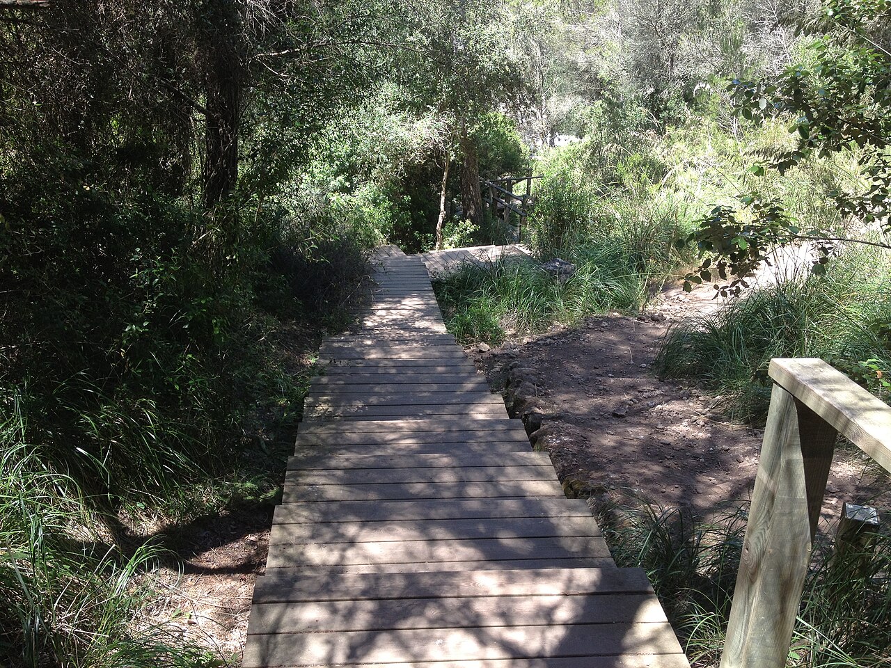 Het pad omlaag naar Cala en Turqueta op Menorca