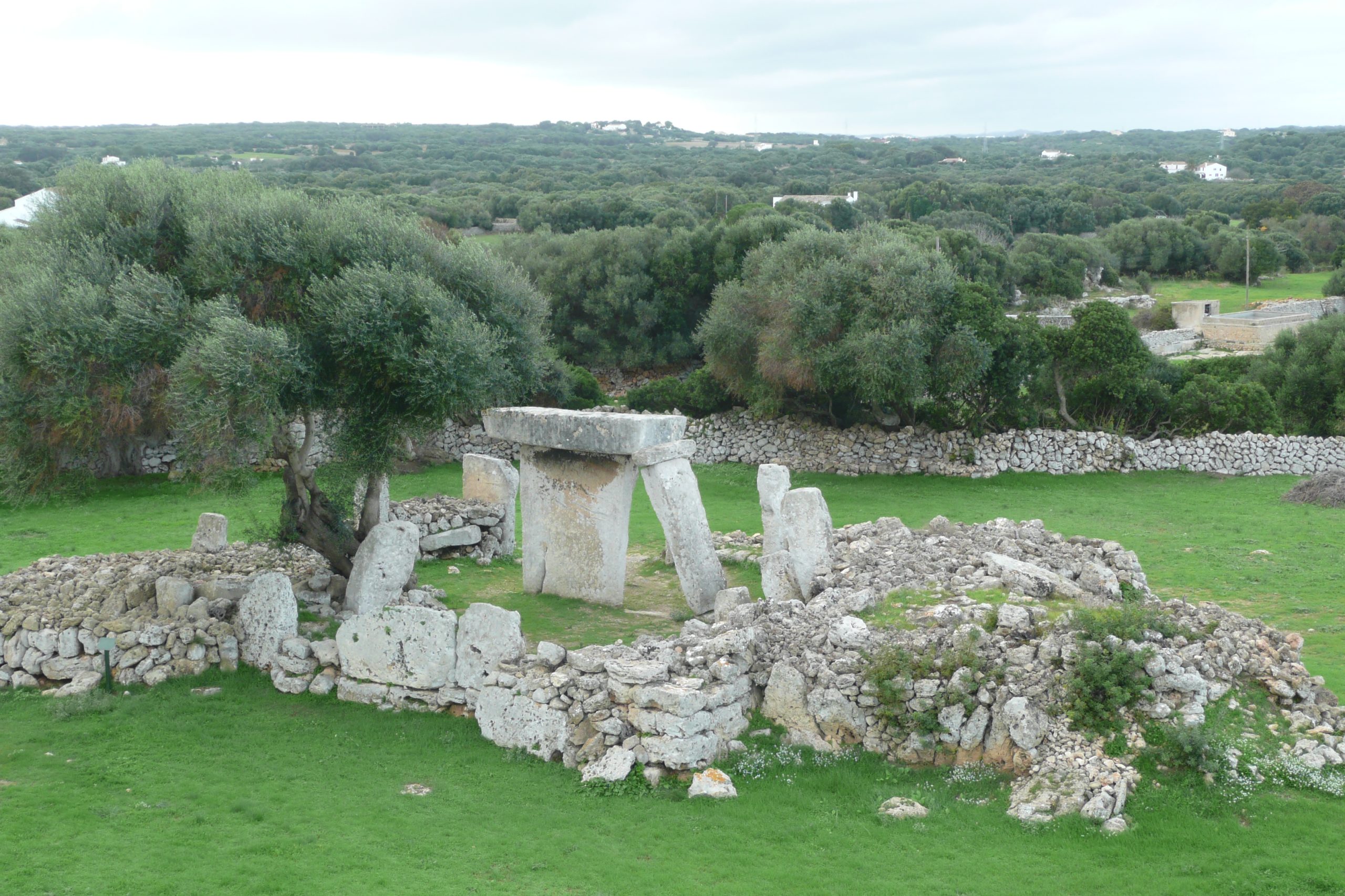 De talayotische nederzetting Talatí de Dalt op Menorca met de taula tussen olijfbomen en droge stenen muurtjes