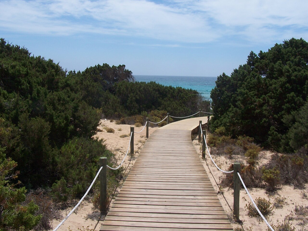 Beste reistijd Formentera: weer per maand, zeewater en het voertuigquotum 6 Pad door de pijnbomen naar het strand van Migjorn op Formentera