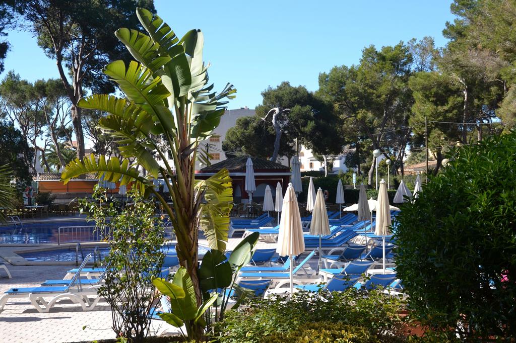 Pabisa Sofia op Mallorca