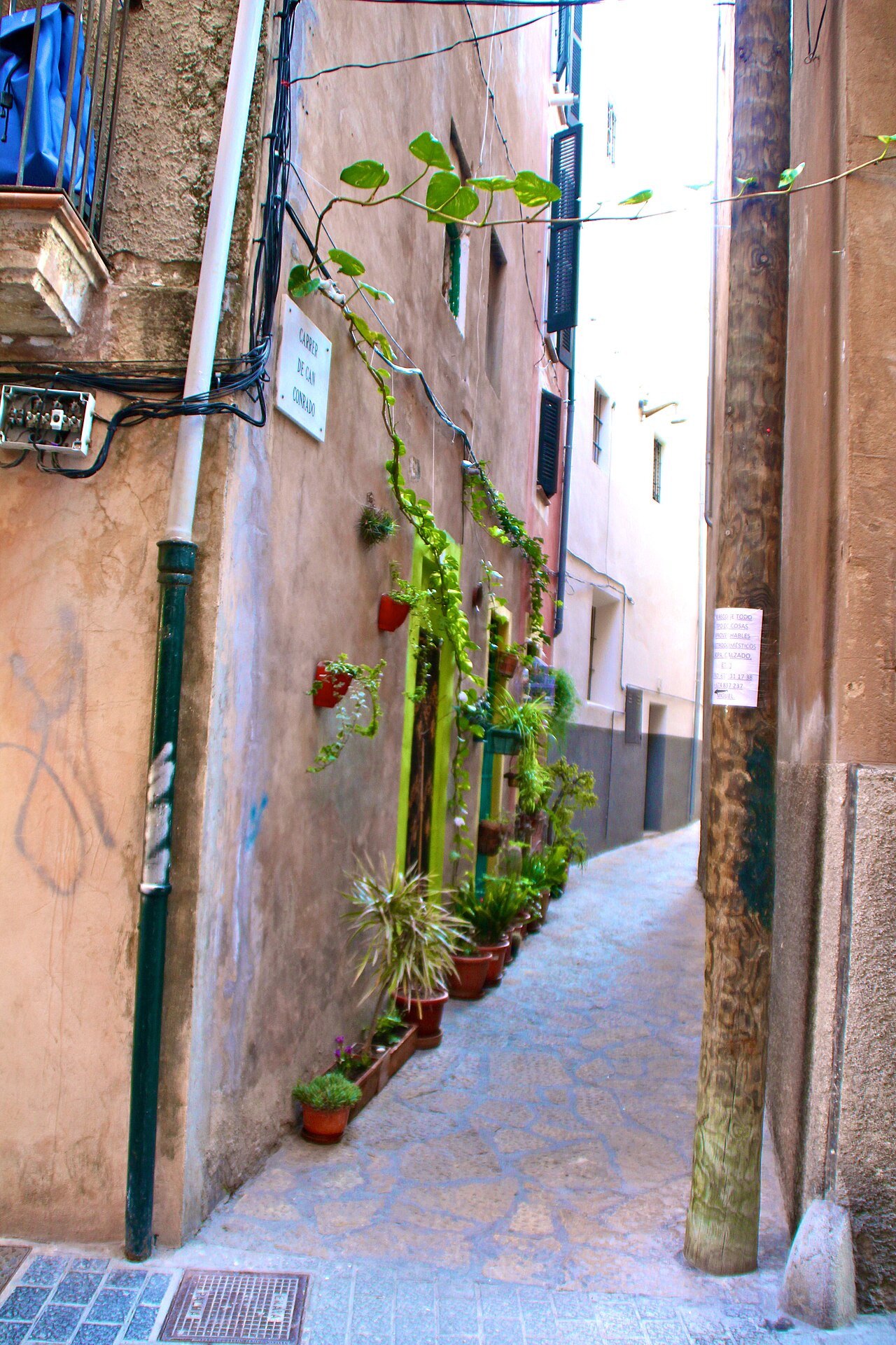 Plaça de la Porta des Camp in Palma: het plein bij de verdwenen stadspoort 2 Een steegje met planten in de wijk Sa Calatrava in Palma