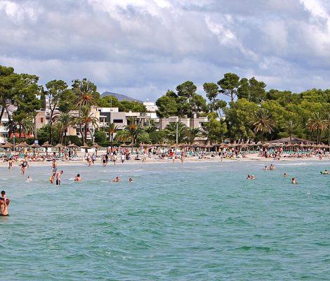 Badgasten in het ondiepe turquoise water van Platja d'Alcúdia op Mallorca, met pijnbomen en hotels achter het strand