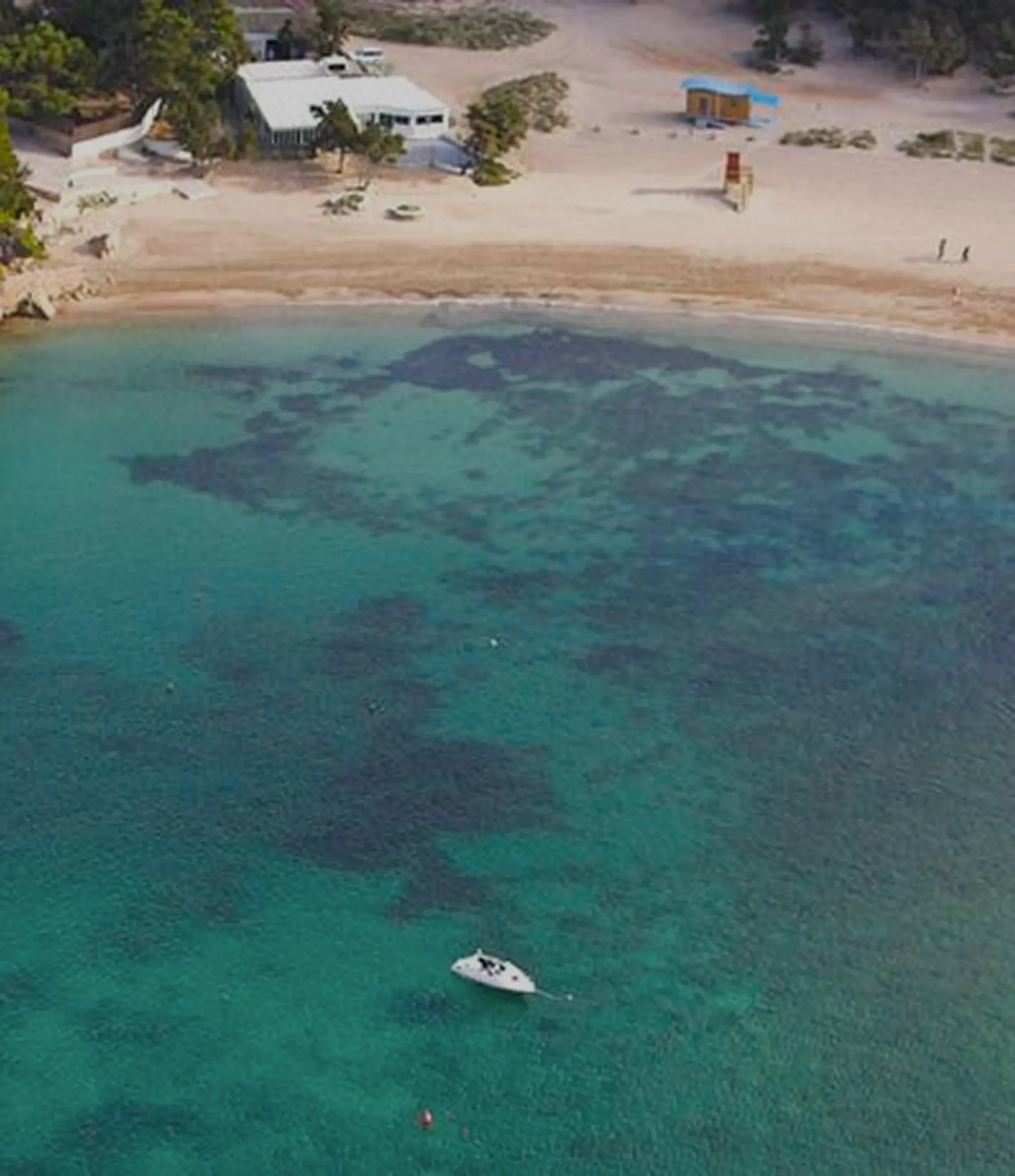 Ñora Beach Ibiza: strandrestaurant en ligbedden aan Port des Torrent 5 Het strand van Port des Torrent vanuit de lucht met helder turquoise water