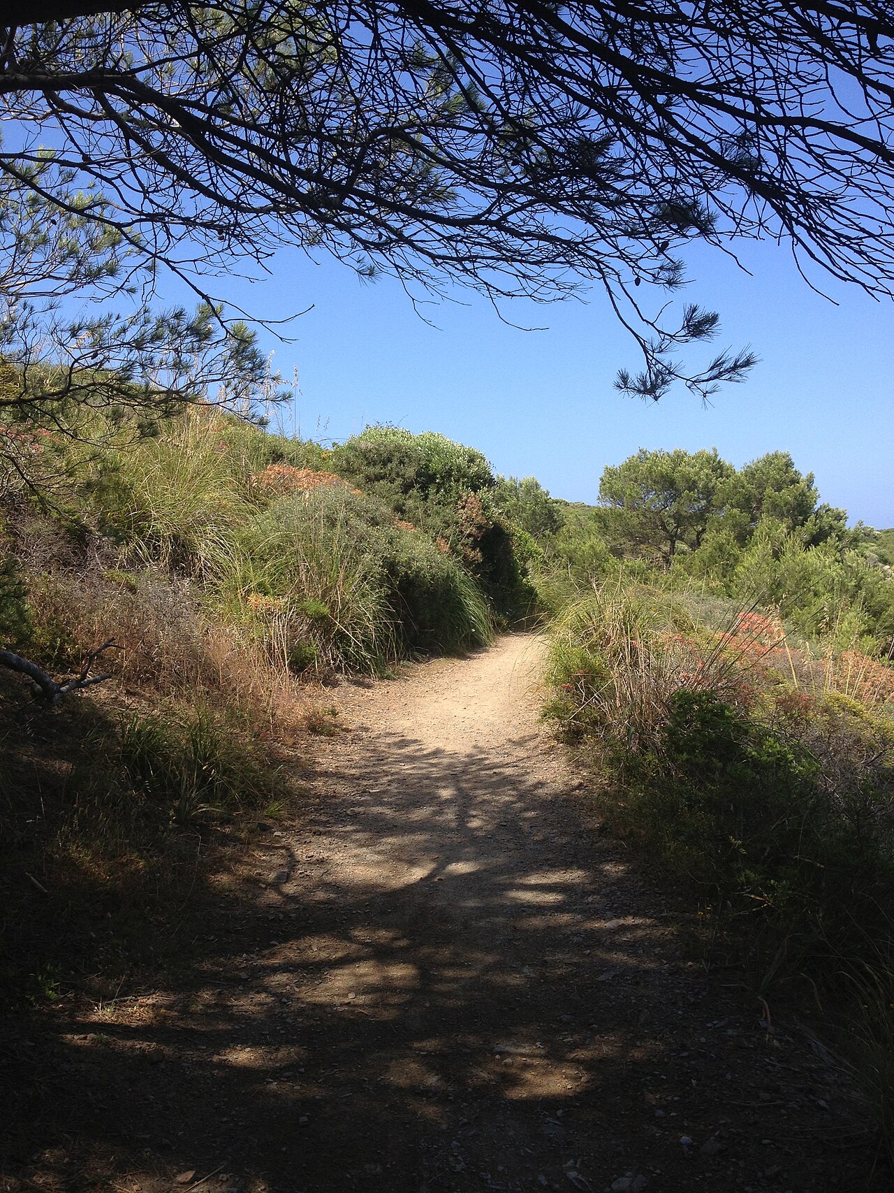 S'Albufera des Grau Menorca: het hart van het biosfeerreservaat 4 S’Albufera des Grau Menorca, foto 3
