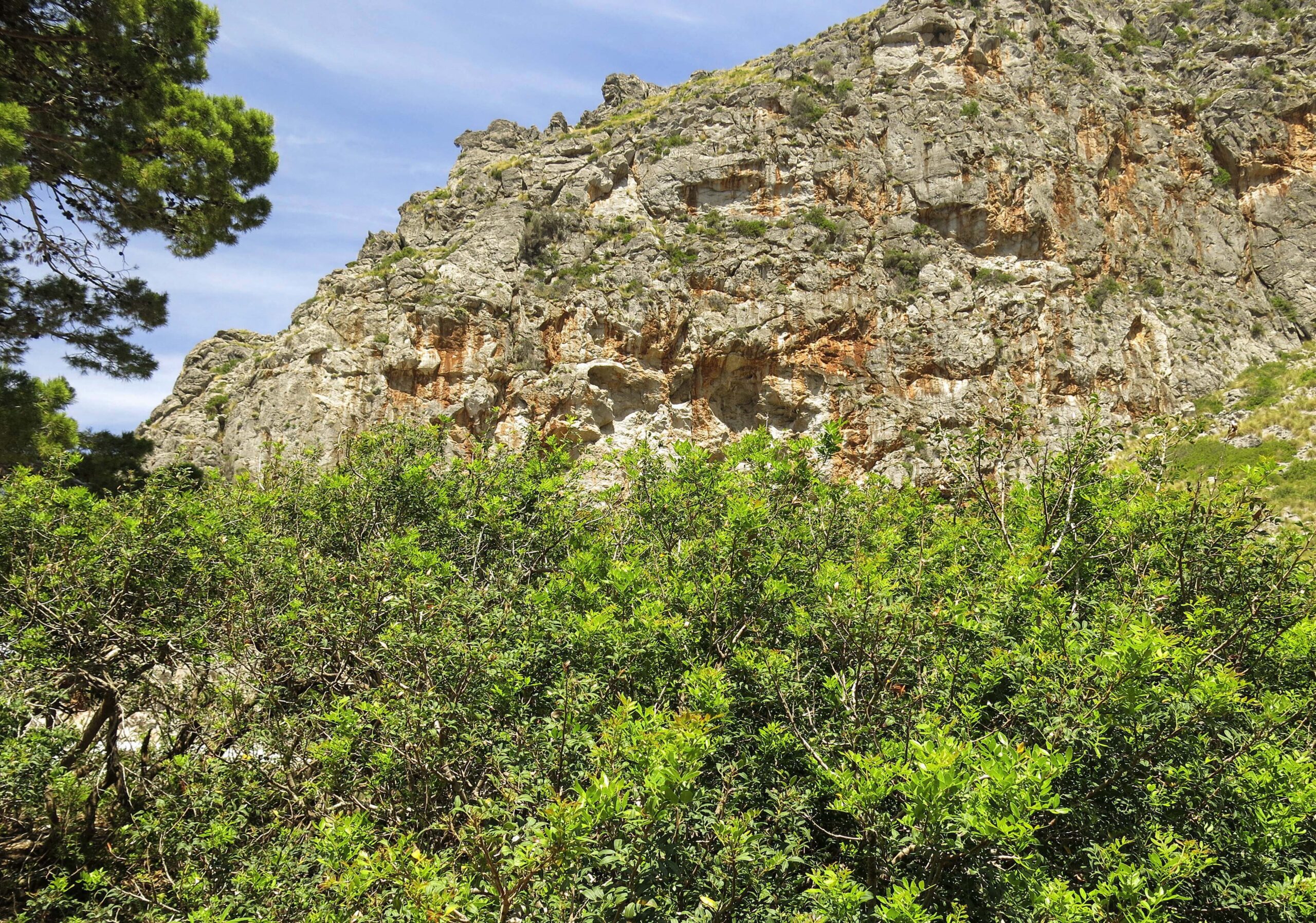 Sa Calobra Mallorca: legendarische bergweg + Torrent de Pareis 6 Sa Calobra Mallorca, foto 5