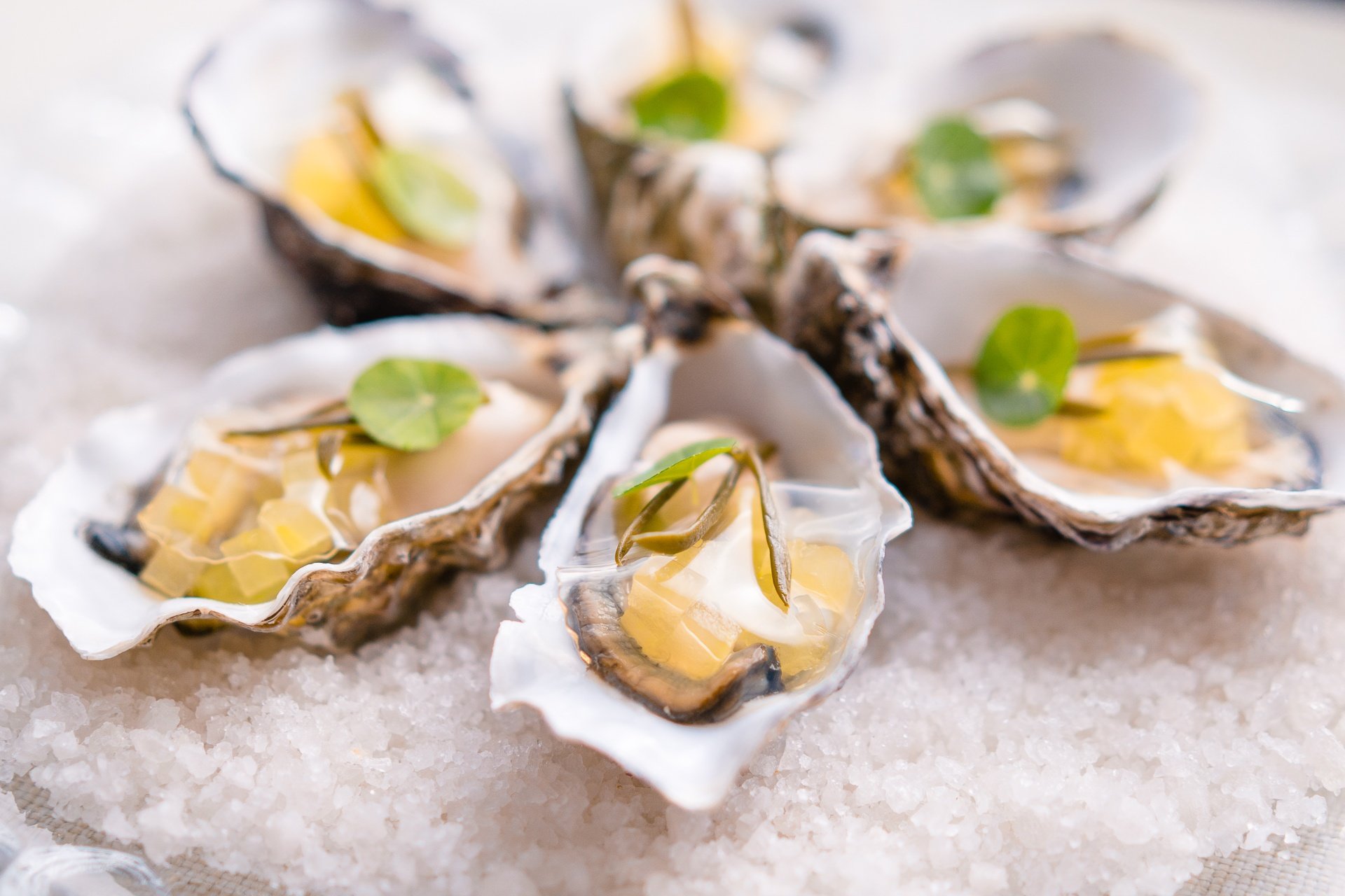 Sa Clastra bij Es Capdellà: een sterrenmenu van negen winden 3 Oesters op grof zout, gang van restaurant Sa Clastra op Mallorca
