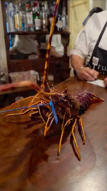 Sa Llagosta Fornells: de langoest van chef David de Coca 1 Een levende langoest op de bar van Sa Llagosta in Fornells