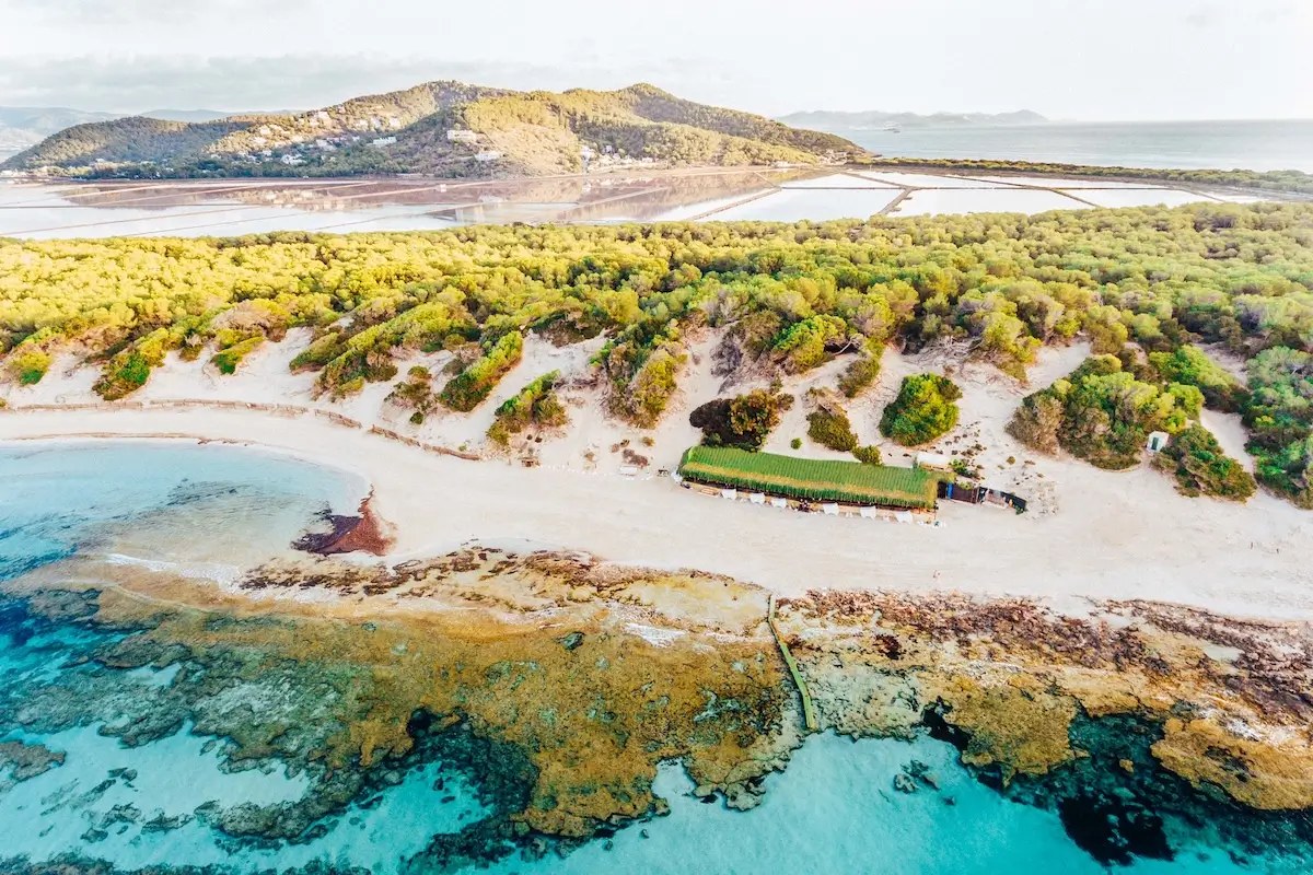 Sa Trinxa Ibiza, foto 3