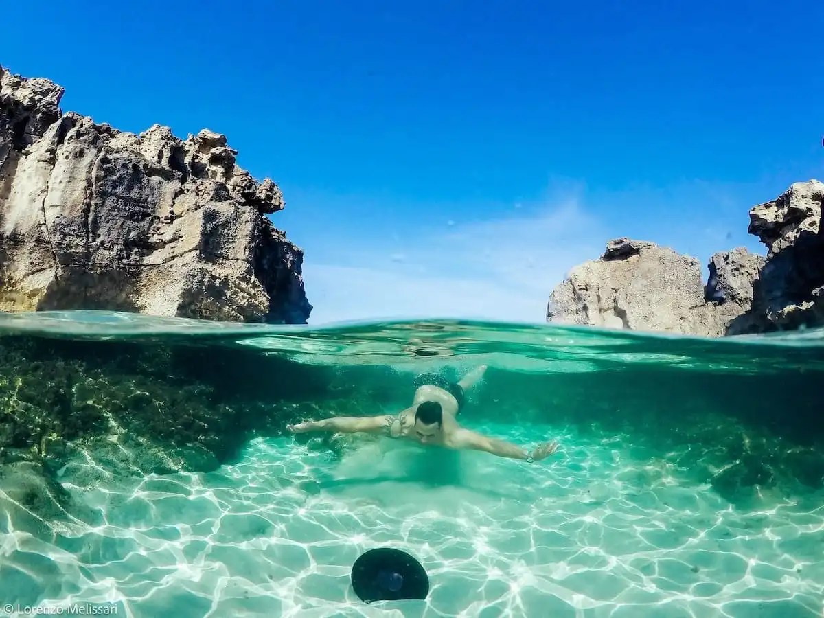 Sa Trinxa Ibiza, foto 4