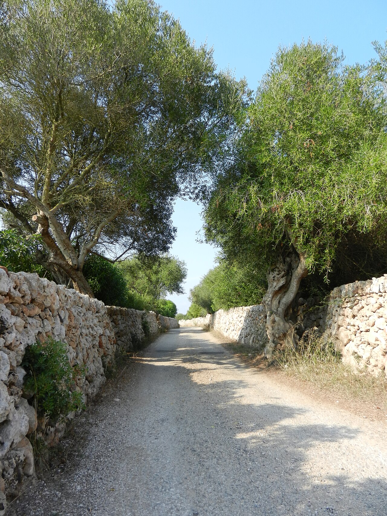 Sant Lluís Menorca: het witte Franse dorp met molens 7 Sant Lluís Menorca, foto 6