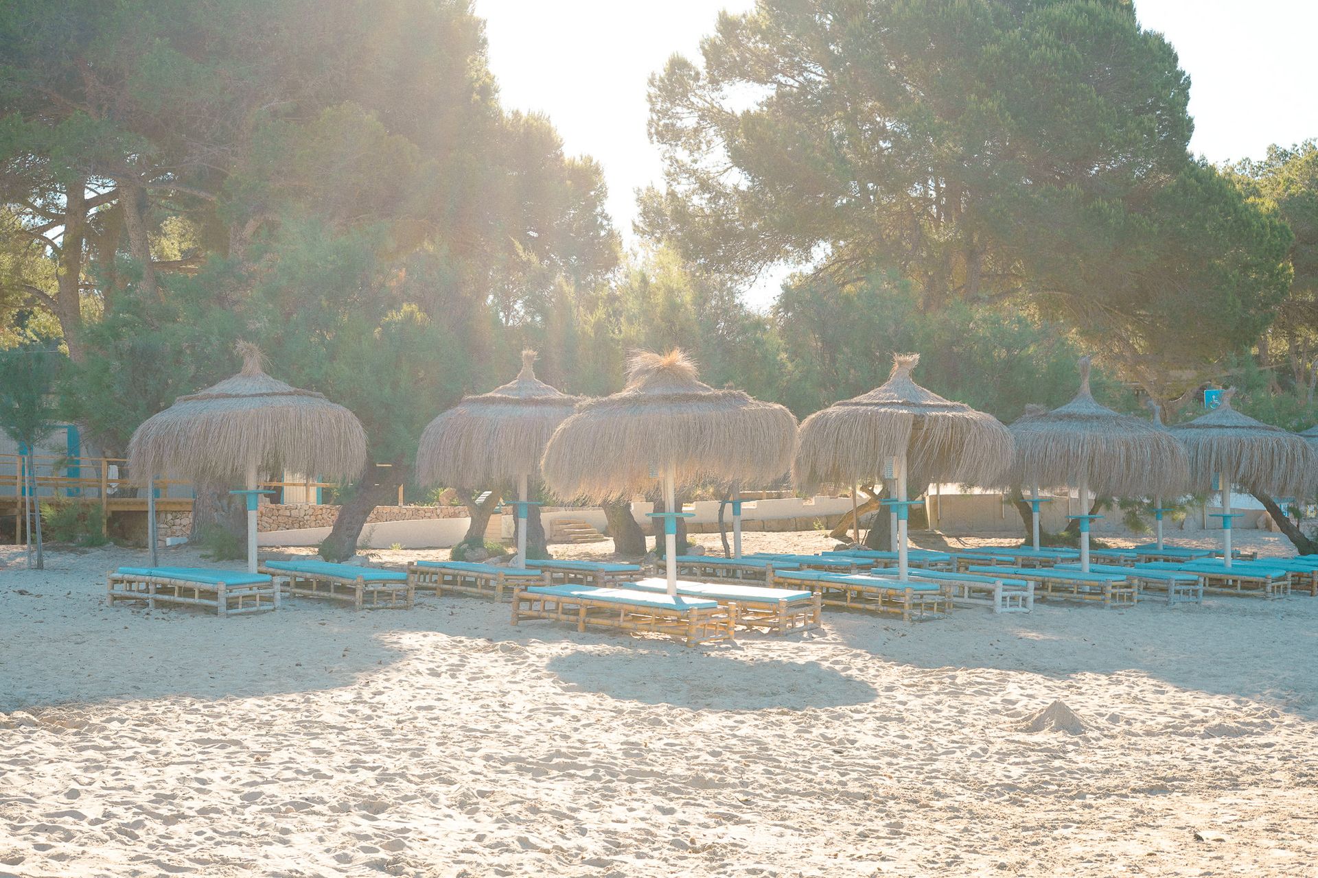 Rieten parasols en ligbedden op het zand van S'Arenal de Portocolom onder de pijnbomen