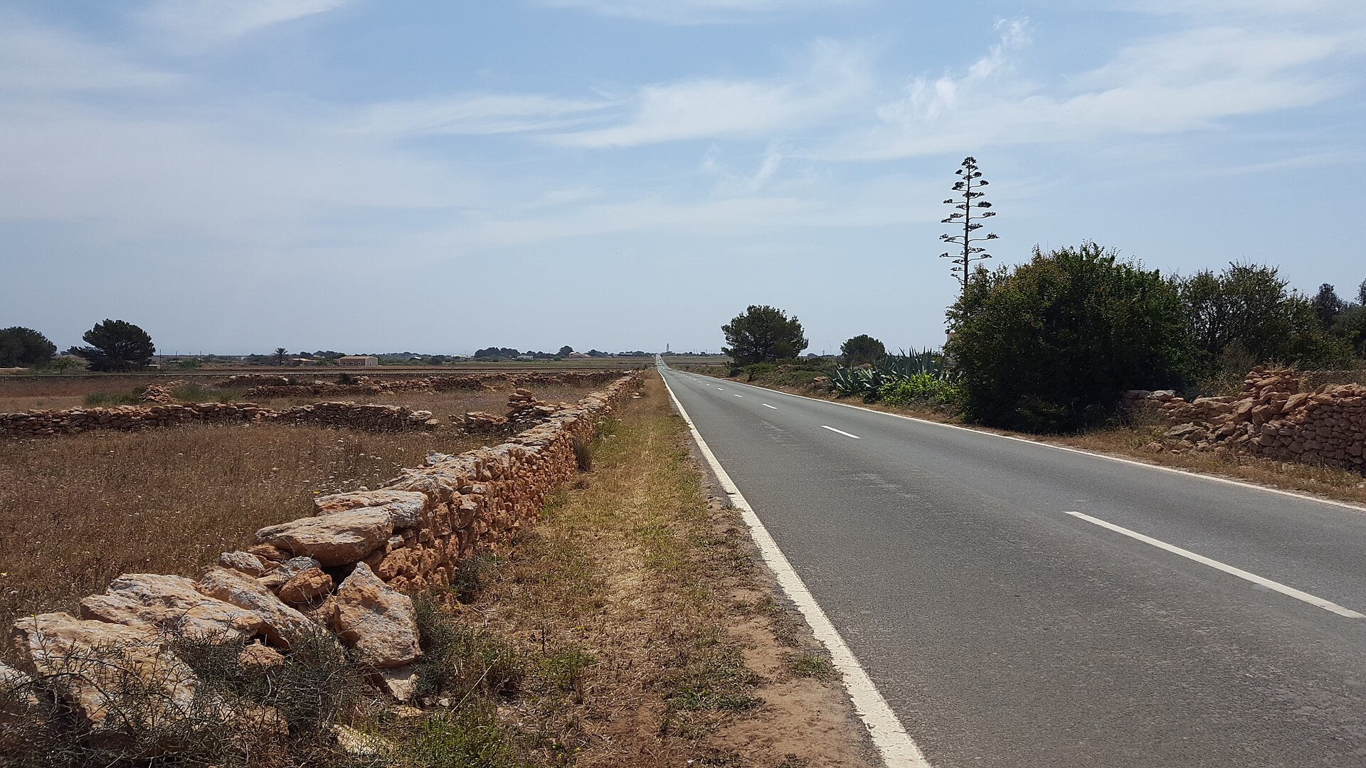 De hoofdweg over het plateau van La Mola richting de vuurtoren op Formentera