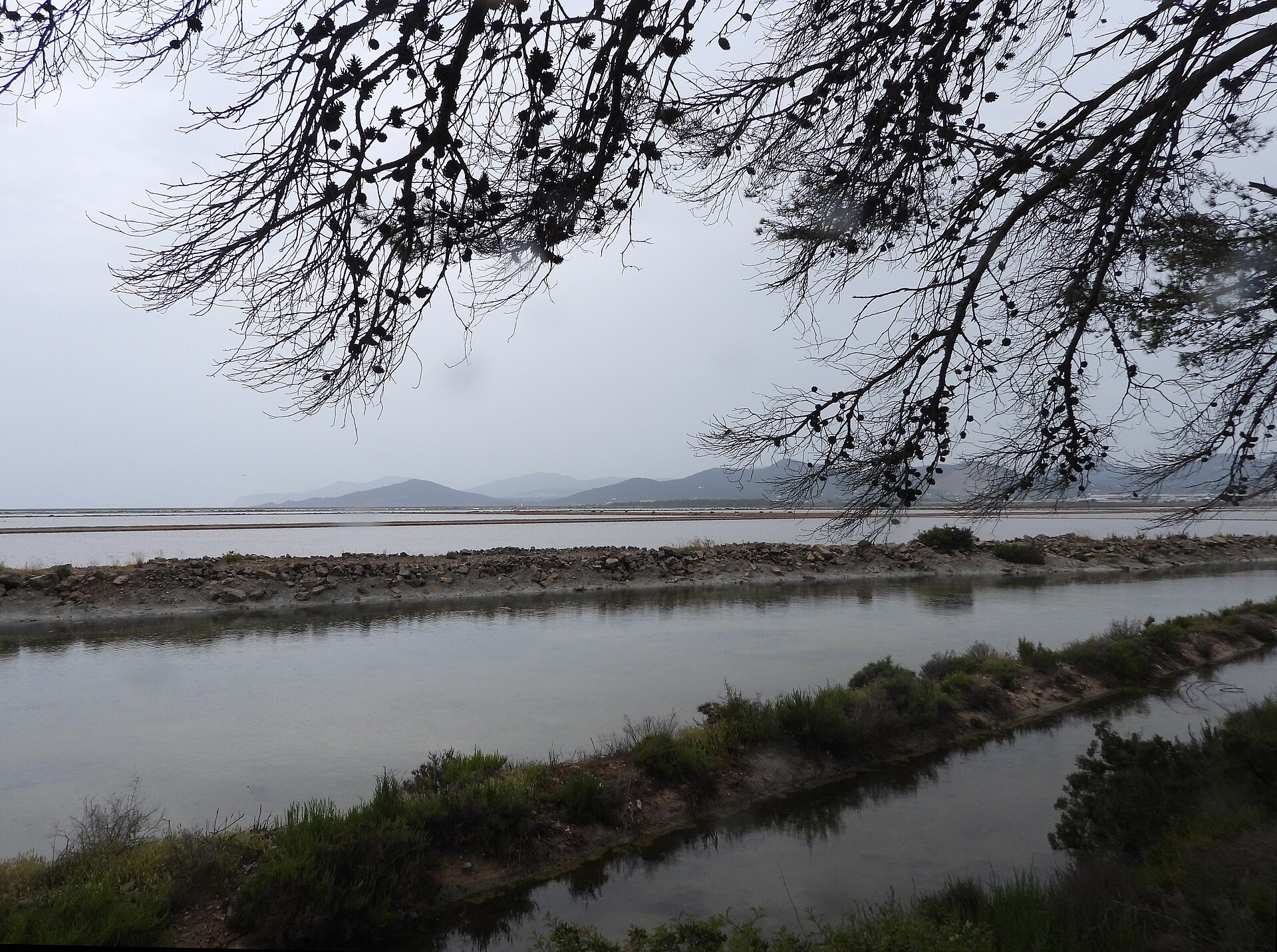 De zoutpannen van Ses Salines op Ibiza vlak achter het strand van Es Cavallet, met bergen aan de horizon