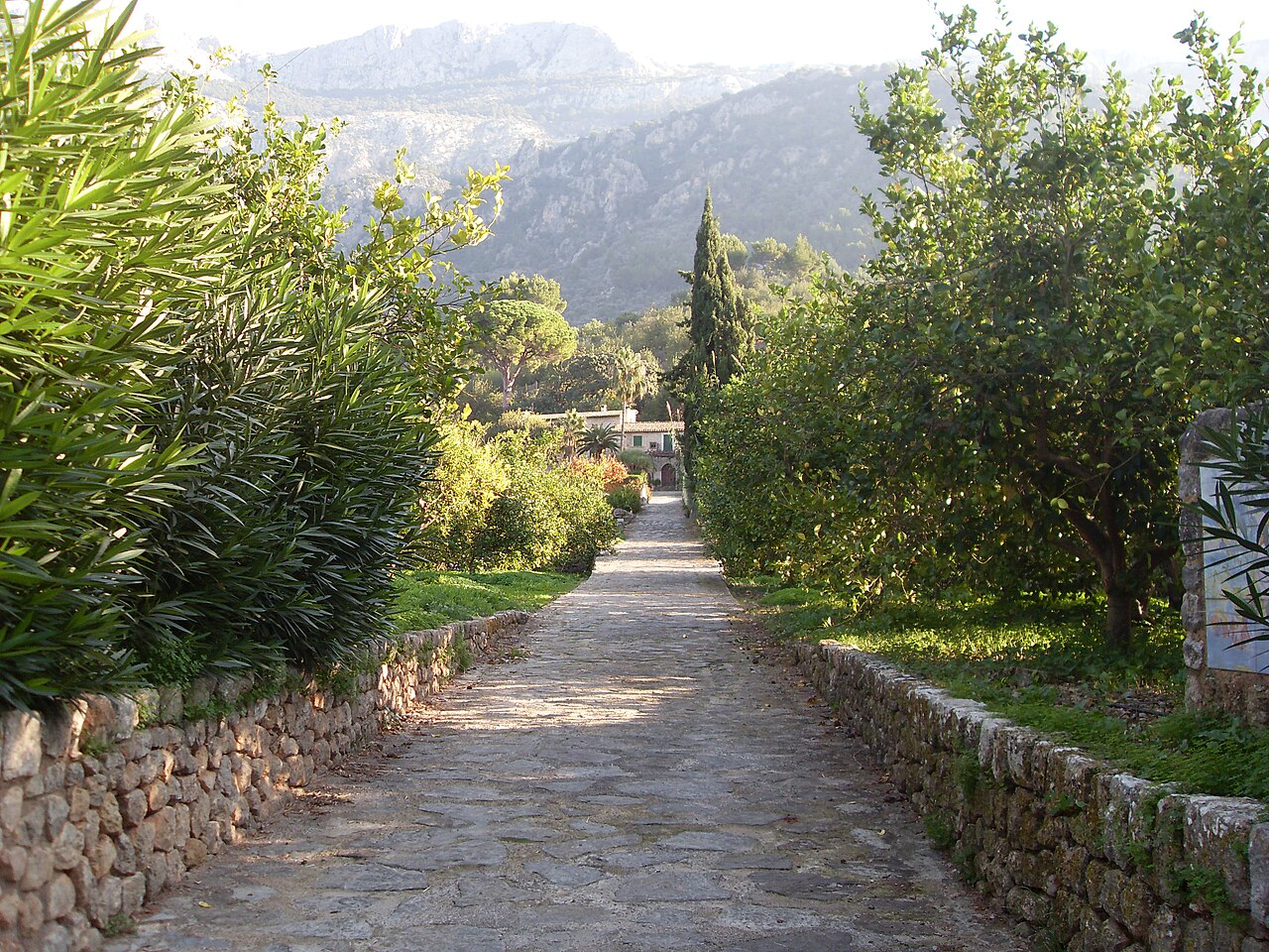 Sóller Mallorca: het bergdorpje + het historische treintje 5 Sóller Mallorca, foto 4