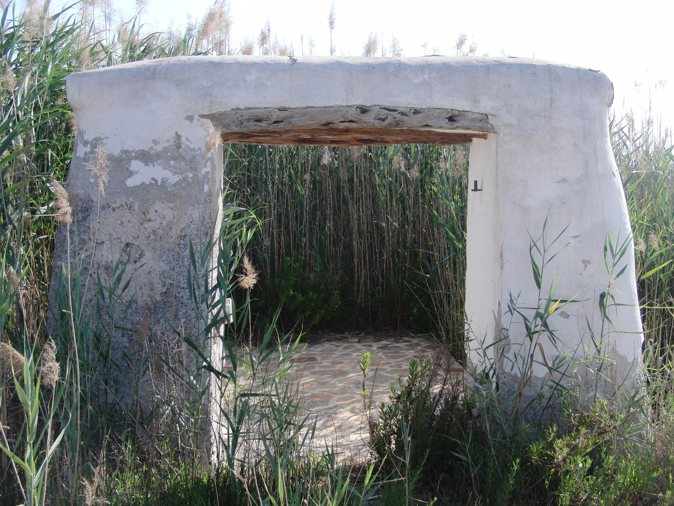 Een witgekalkte portal de feixa tussen het riet in ses Feixes bij Ibiza-stad