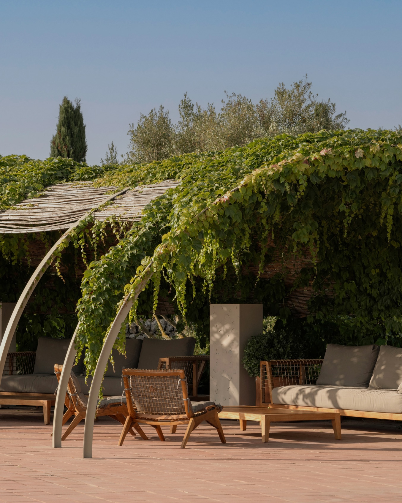 Het met wijnranken overdekte loungeterras van Torralbenc op Menorca