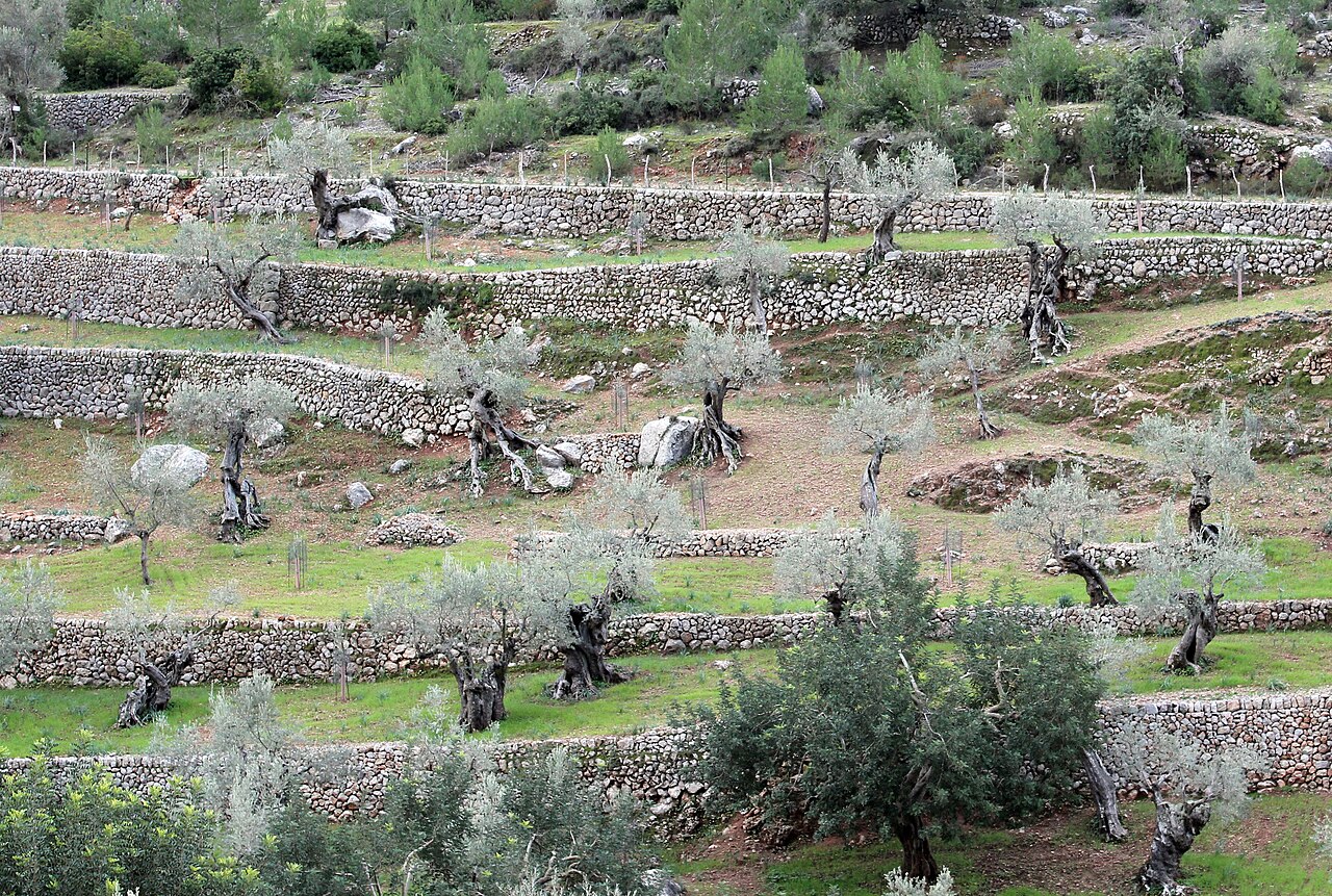 Valldemossa Mallorca, foto 5
