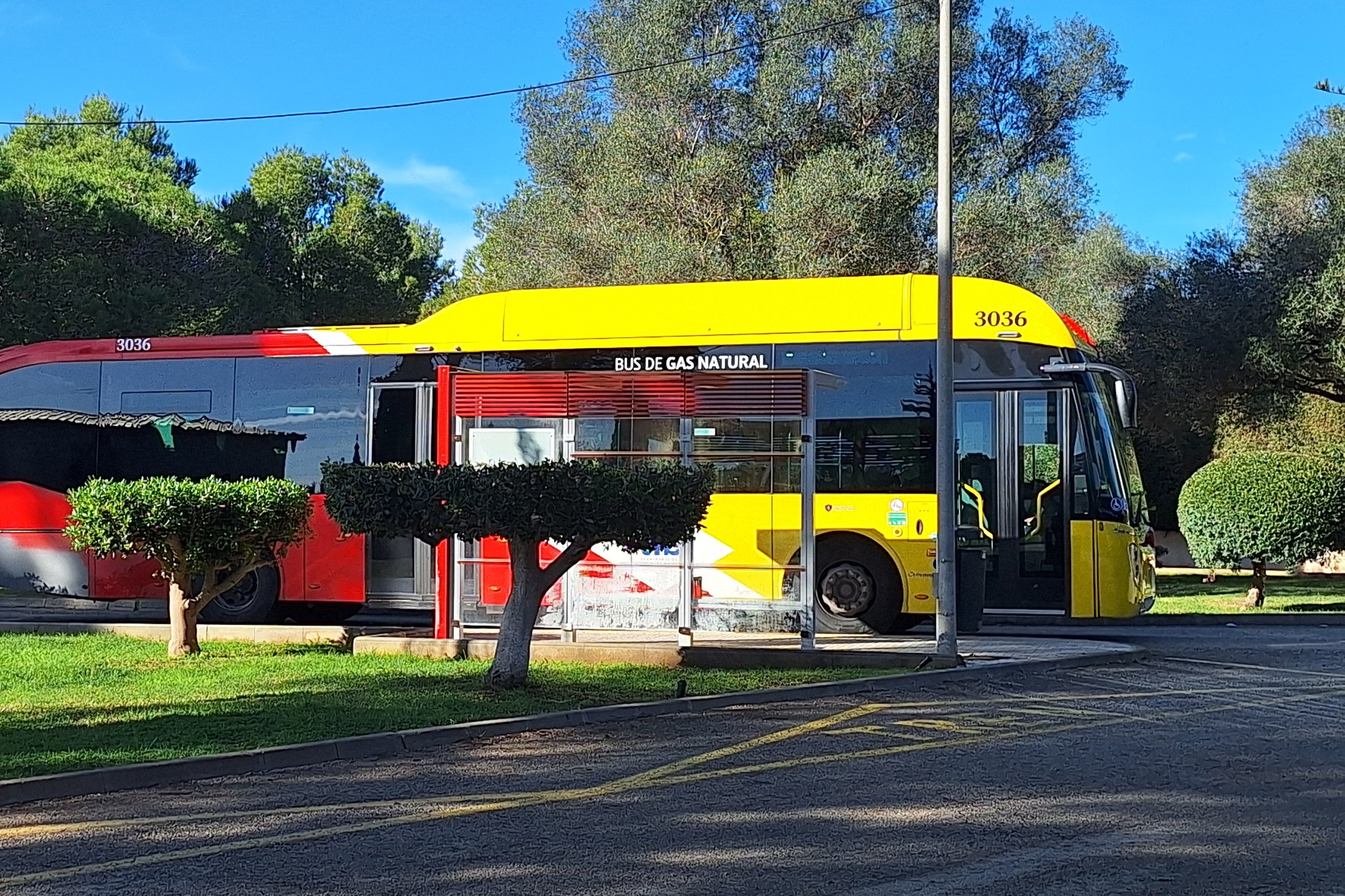 Van vliegveld Palma naar je hotel: bus, taxi of transfer 3 Een rood-gele streekbus van TIB bij een bushalte op Mallorca