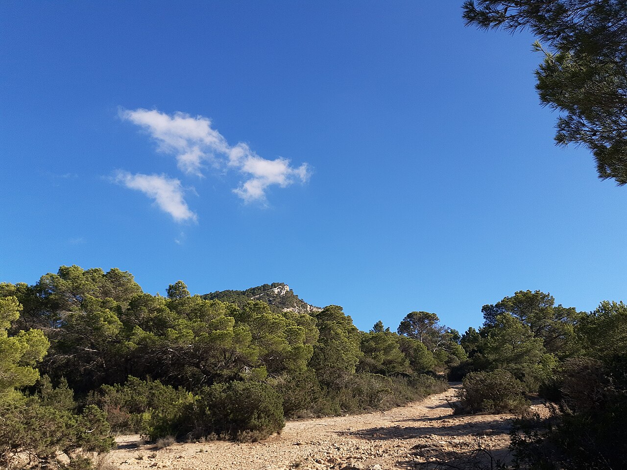 Wandelen op Ibiza: de routes die er zijn, en de plek die dicht is 1 Onverhard wandelpad door laag struikgewas met uitzicht over de zuidwestkust van Ibiza