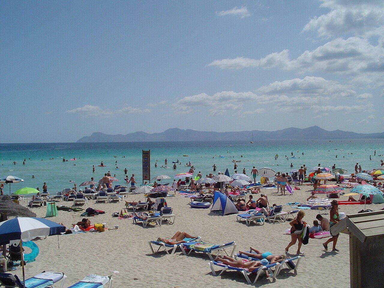 Wanneer boek je een vakantie naar de Balearen het goedkoopst? 4 Vol strand met parasols en ligbedden bij Alcudia op Mallorca in het hoogseizoen