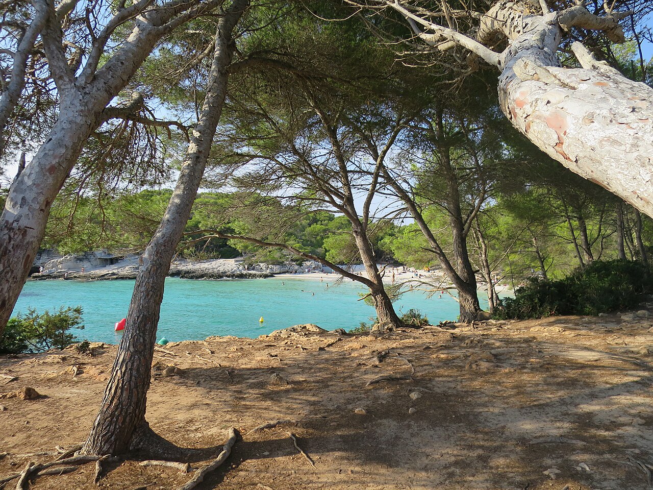 Welk Balearen-eiland past bij jou? 6 Dennen boven het heldere water van Cala en Turqueta op Menorca