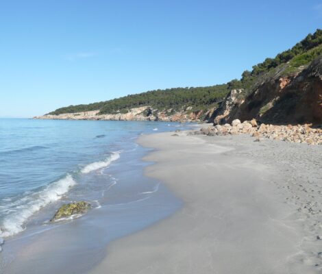Het lege zandstrand van Binigaus op Menorca met de rode rotsrand en pijnbomen erboven