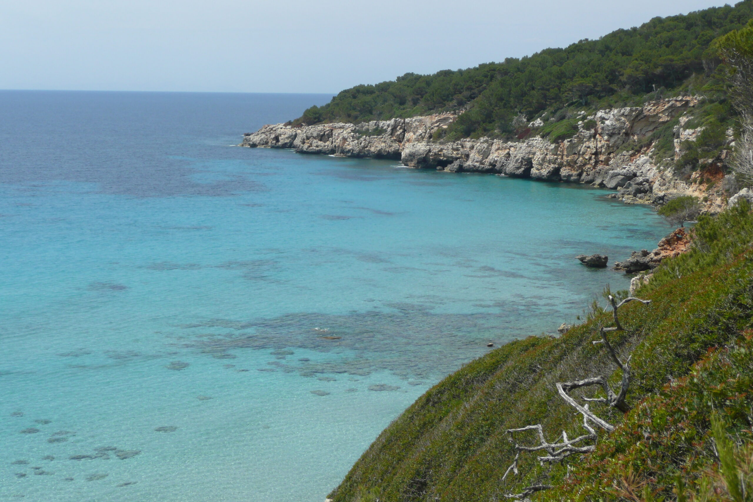 Binigaus Menorca: het wilde strand, het ravijn en de Cova des Coloms 4 Turquoise water en kalkstenen kliffen aan het westelijke einde van Binigaus op Menorca