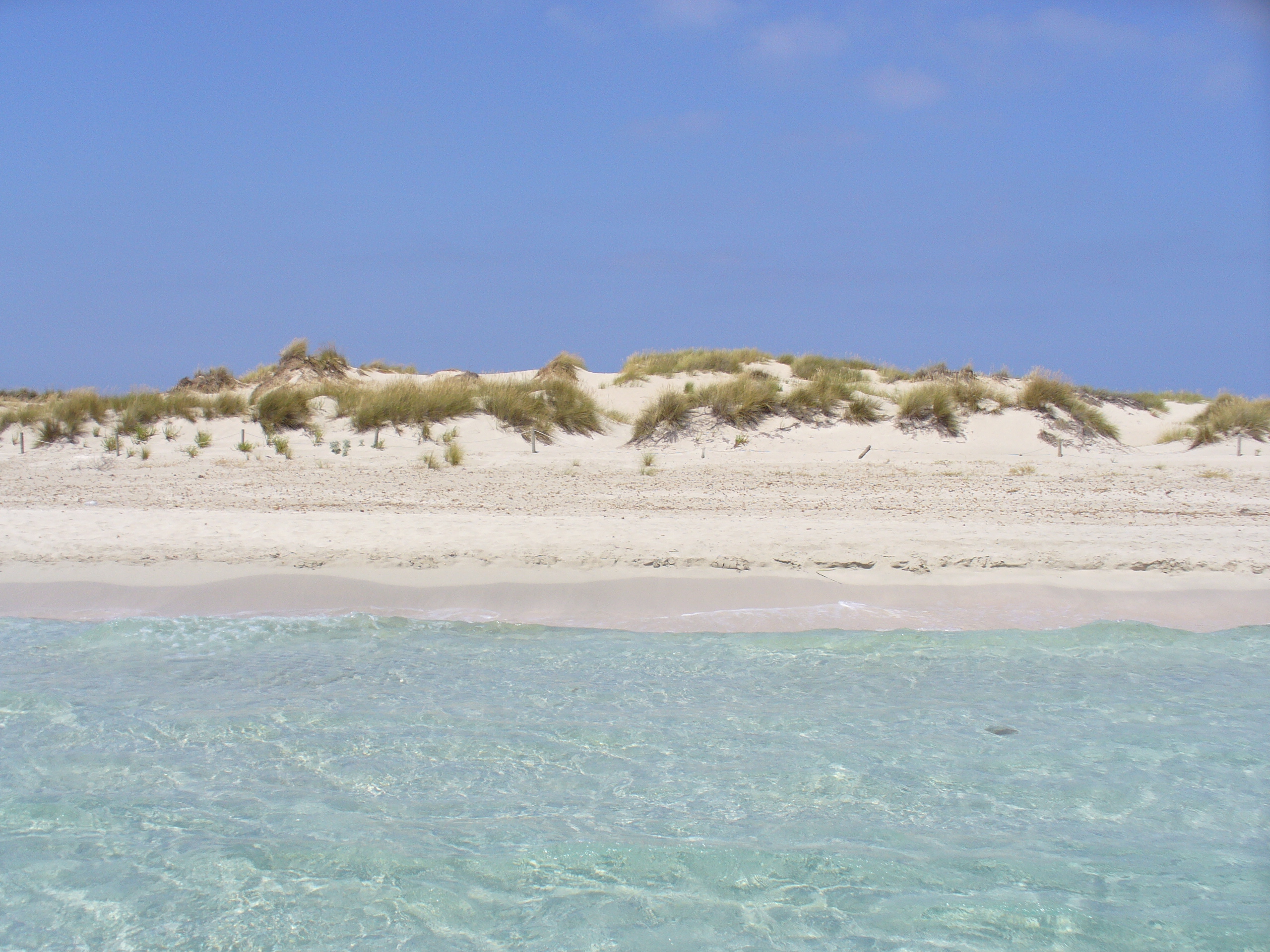 Platja de s'Alga bij s'Espalmador vanaf zee gezien, met helder water