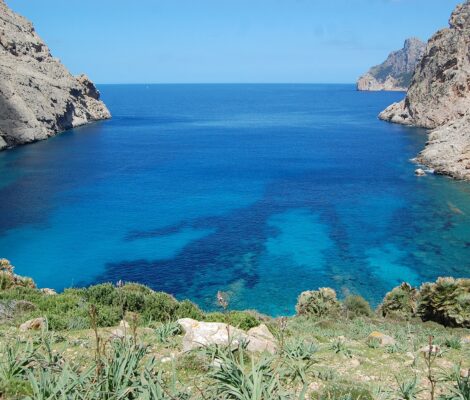 Cala Bóquer van bovenaf gezien, met diepblauw water tussen twee steile rotswanden en dwergpalmen op de voorgrond