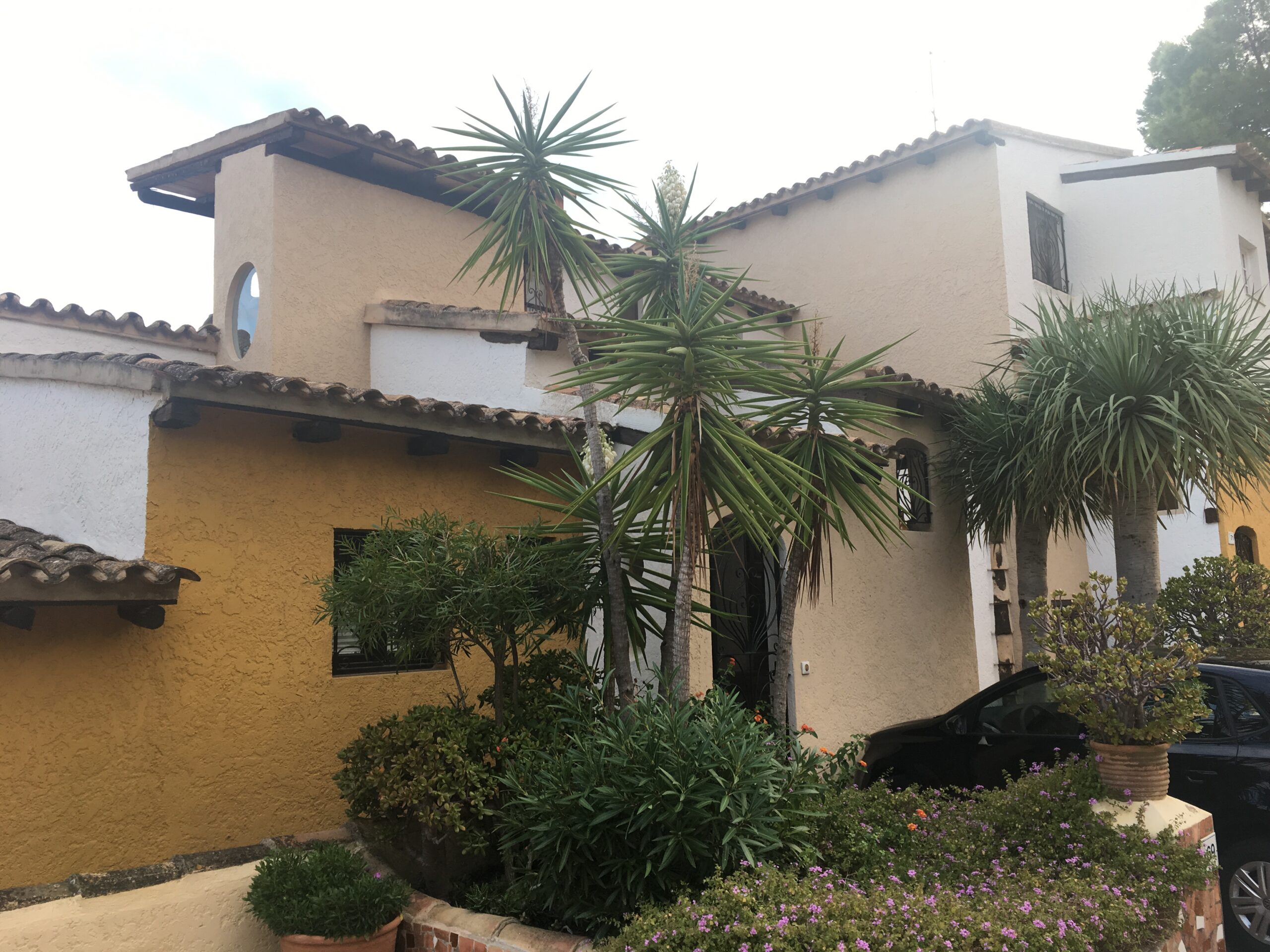 Cala Fornells (Mallorca): helder cove-resort bij Peguera 5 Een okergeel huis met tegeldak en ronde raampjes in Cala Fornells, gebouwd door Pedro Otzoup, tussen yucca's en struiken