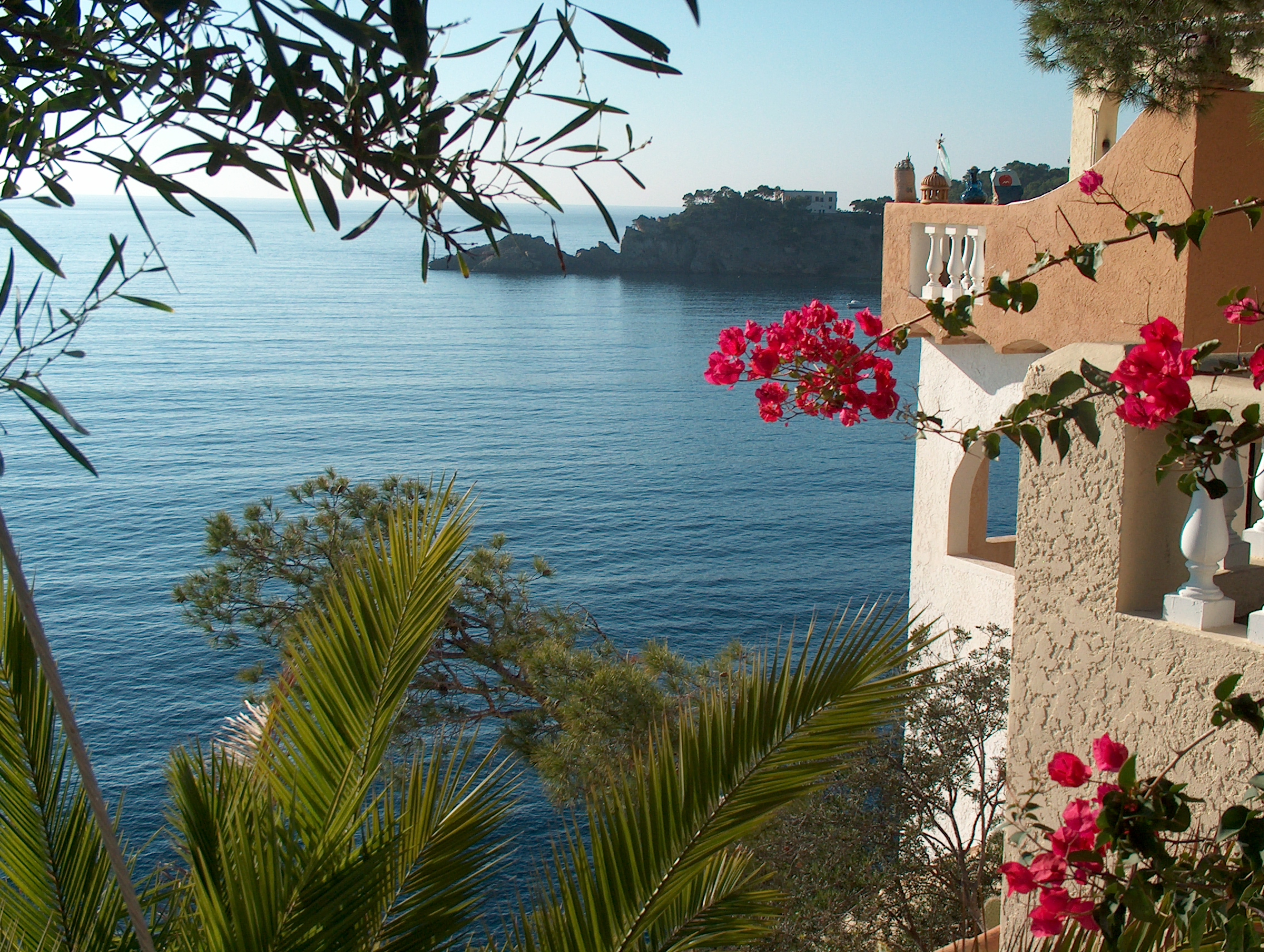 Cala Fornells (Mallorca): helder cove-resort bij Peguera 6 Uitzicht vanaf Cala Fornells over de zee, ingelijst door palmbladeren en bloeiende bougainville naast een okerkleurige gevel