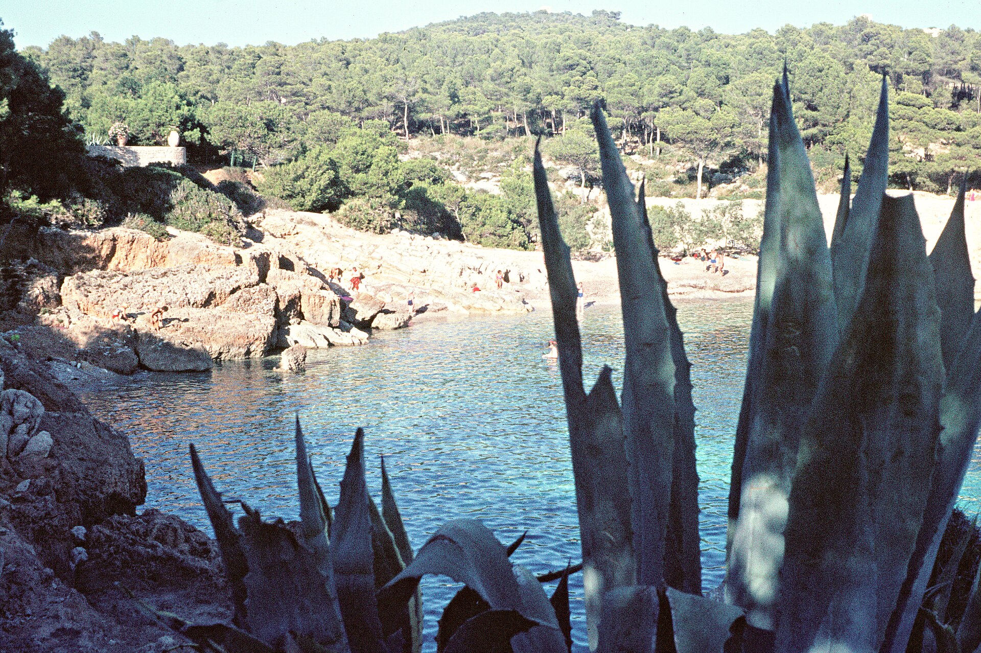 Cala Gat in 1968, met agaves op de voorgrond, badgasten op de rotsen en een nog vrijwel onbebouwde beboste helling
