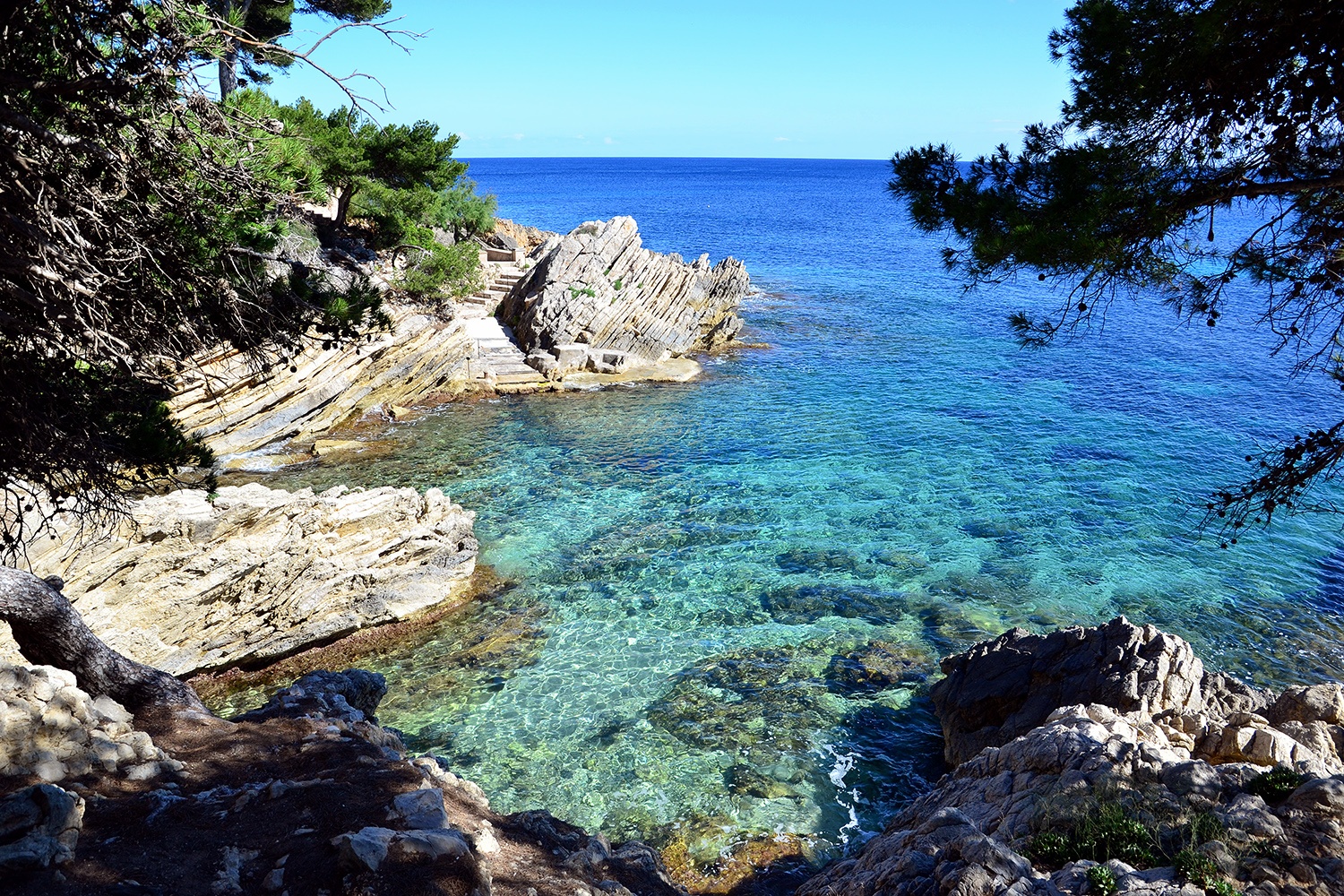 Kristalhelder turquoise water over de rotsen naast Cala Gat, met pijnbomen die over het water hangen