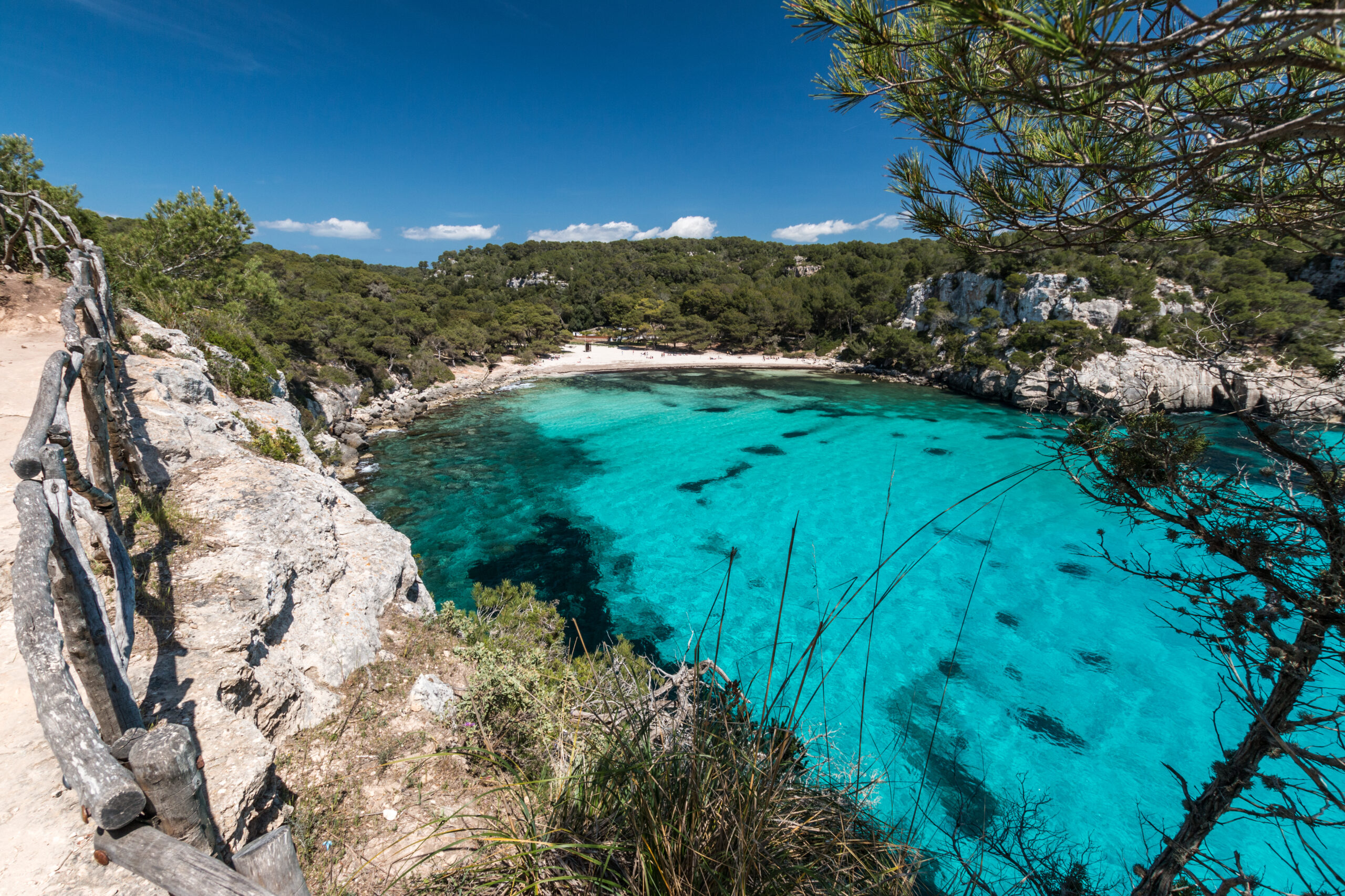 Cala Macarella gezien vanaf het klifpad met houten hek, met het witte strand en het pijnbos achter de turquoise baai