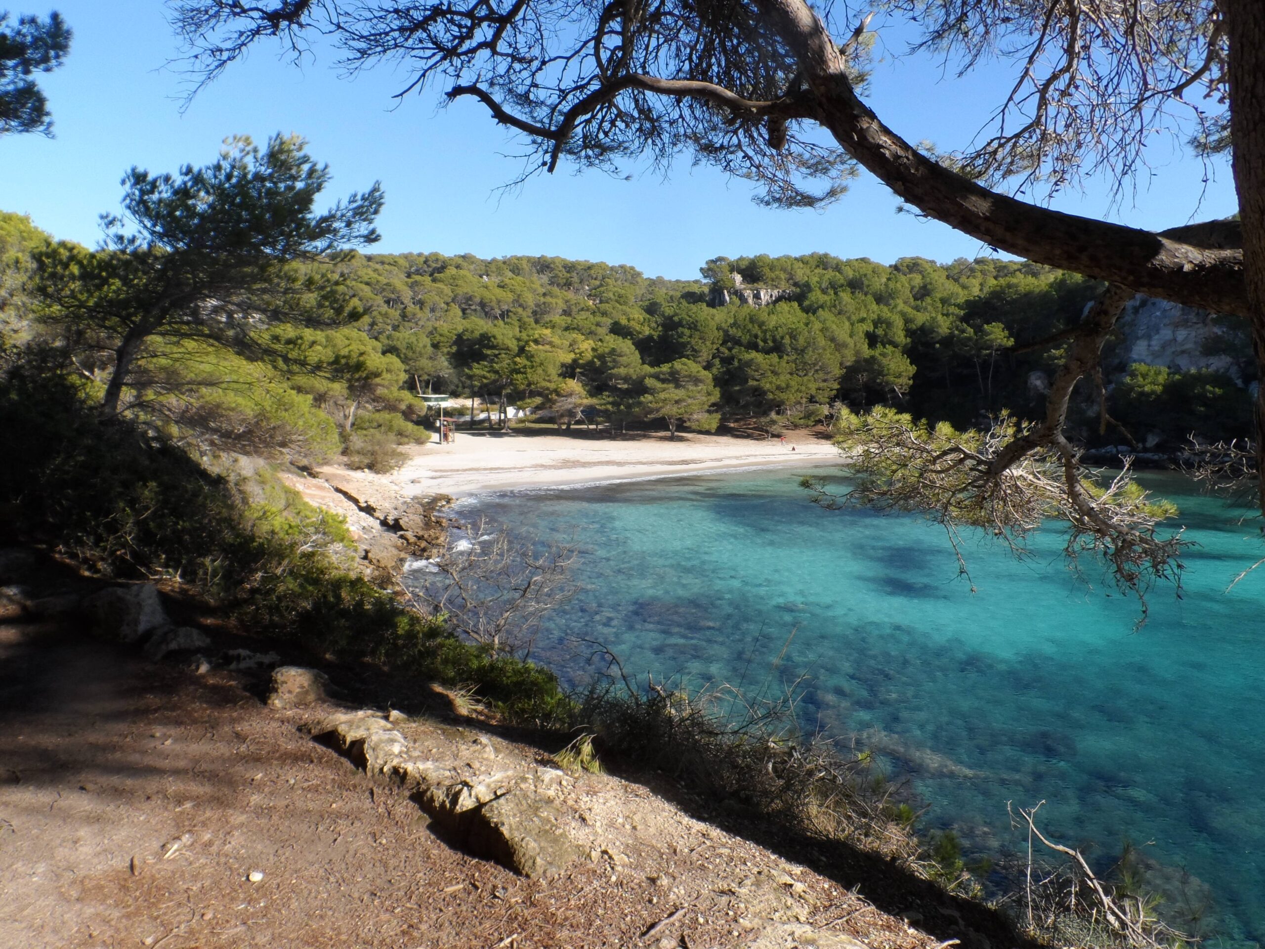 Cala Macarella in de winter, met een leeg strand, gesloten strandtent en pijnbomen over het water