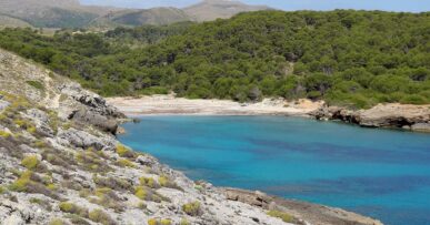 Cala Matzoc Mallorca: de wilde baai onder de wachttoren bij Artà 7 Cala Matzoc van bovenaf gezien, met diep turquoise water in de kom, een lichte strook strand en pijnbos dat tot aan de rand doorloopt, zonder enig gebouw