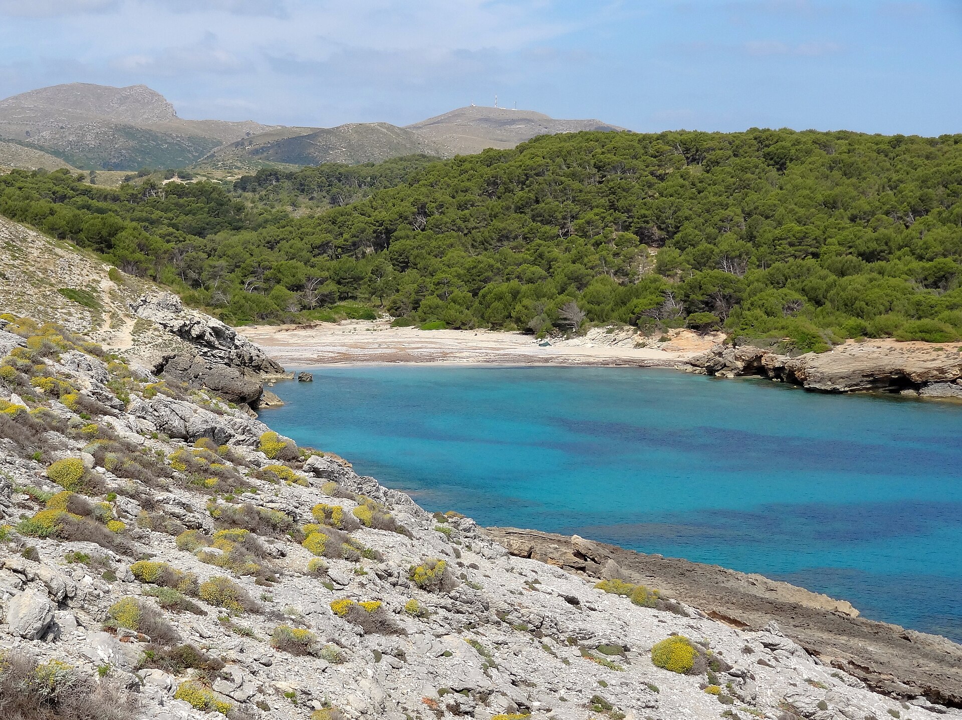 Cala Matzoc van bovenaf gezien, met diep turquoise water in de kom, een lichte strook strand en pijnbos dat tot aan de rand doorloopt, zonder enig gebouw