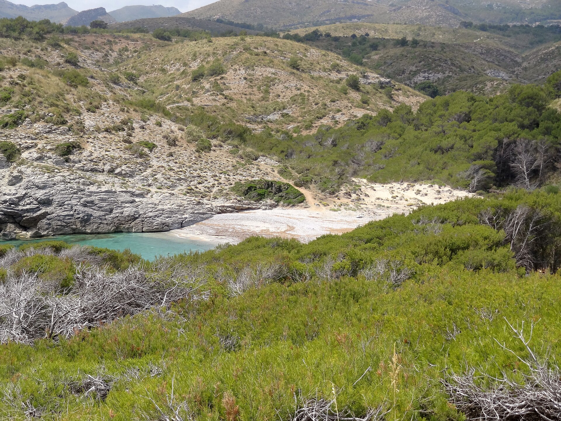 Cala Matzoc gezien vanaf de begroeide helling erboven, met de kom turquoise tussen de rotsen en de bergen van het schiereiland in de verte
