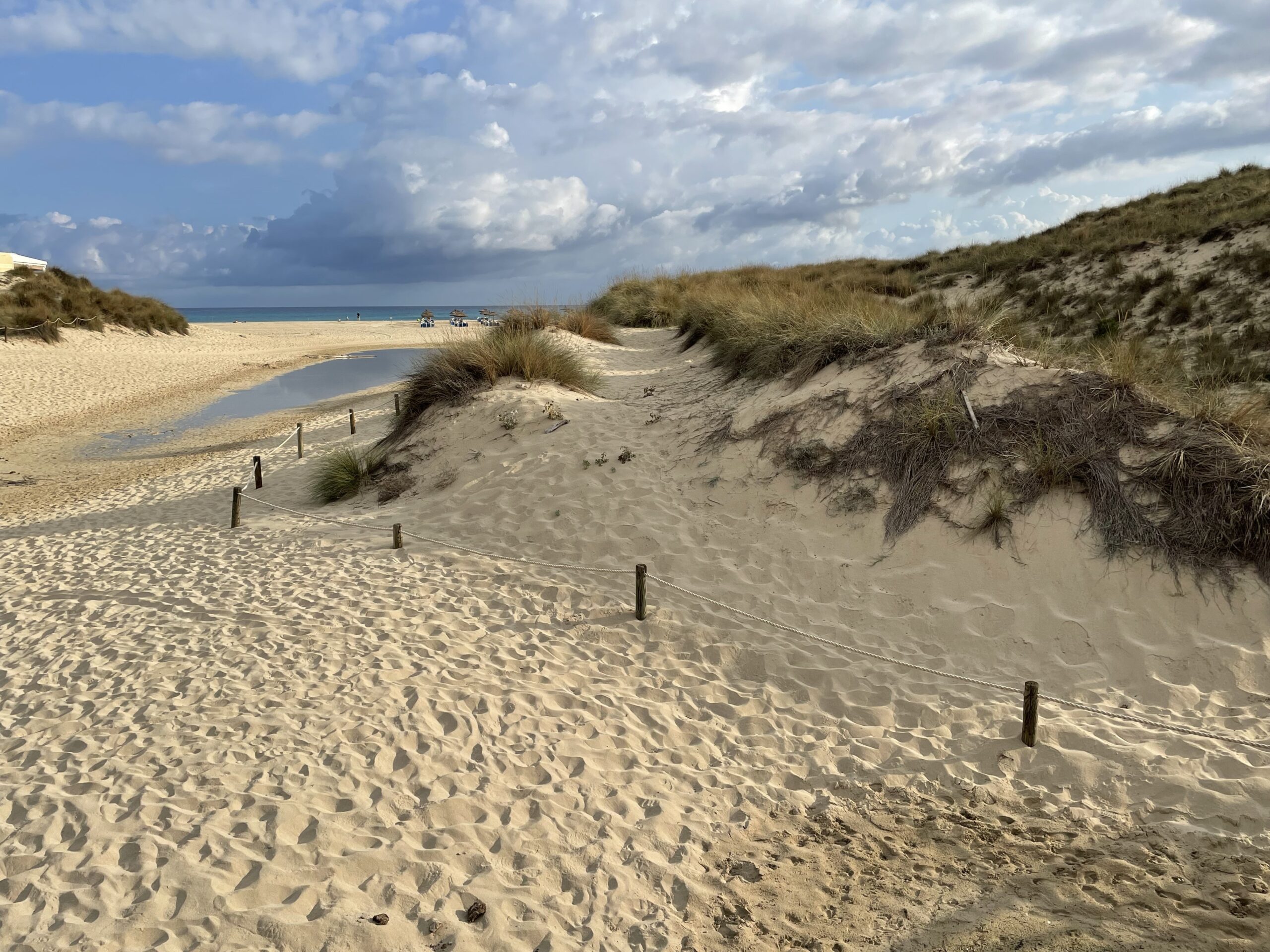 Het afgezette zandpad door de duinen van Cala Mesquida, met paaltjes en touw langs begroeide duinruggen en het strand in de verte