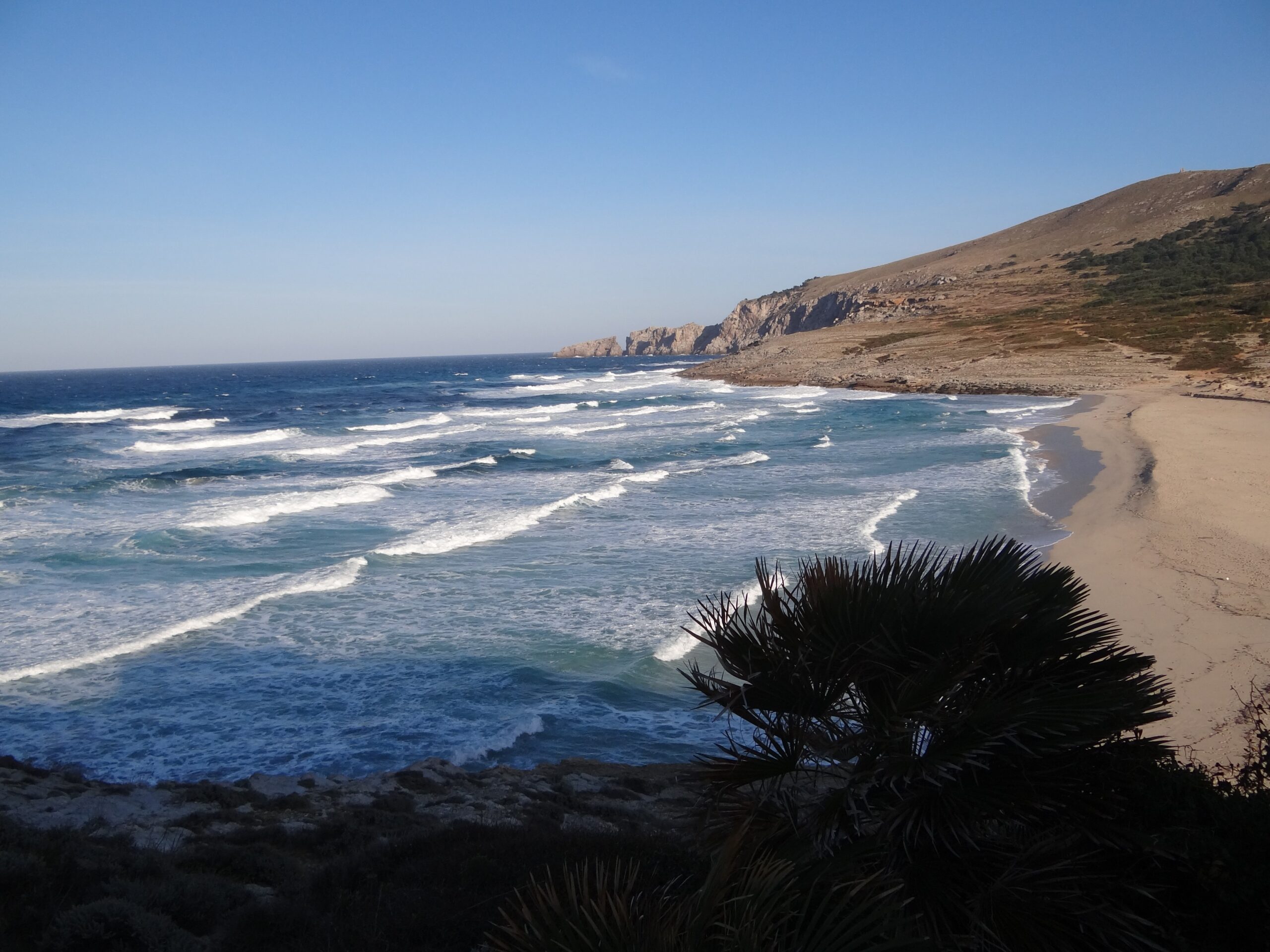 Hoge witte golven die bij noordenwind de baai van Cala Mesquida in rollen, met het lege strand en de rotsige kaap aan de rechterkant