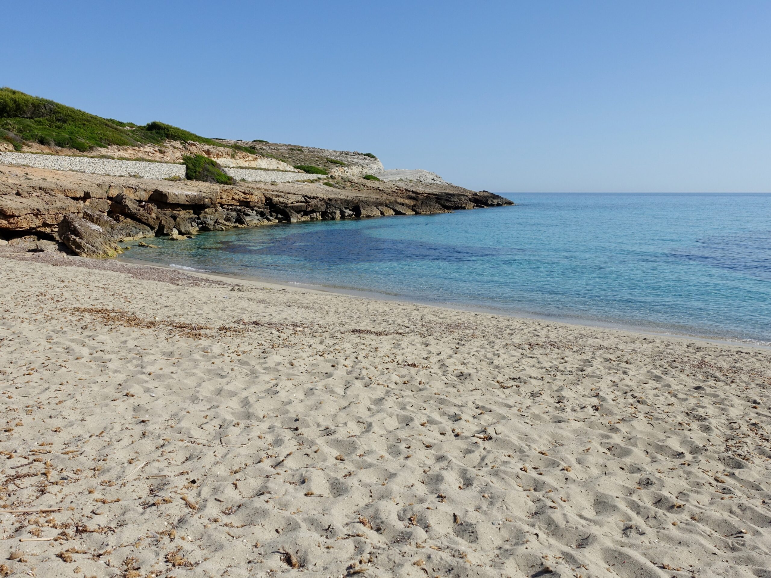 Cala Mitjana Mallorca bij Artà: wilde baai, wandeling en parkeren 3 Het lege zandstrand van Cala Mitjana op een windstille ochtend, met de lage kalkstenen rotsrand aan de westkant en kalm water dat naar de open zee loopt