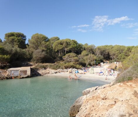 De baai van Cala sa Nau met het zandstrand achterin, het gemetselde botenhuis links en pijnbos rondom