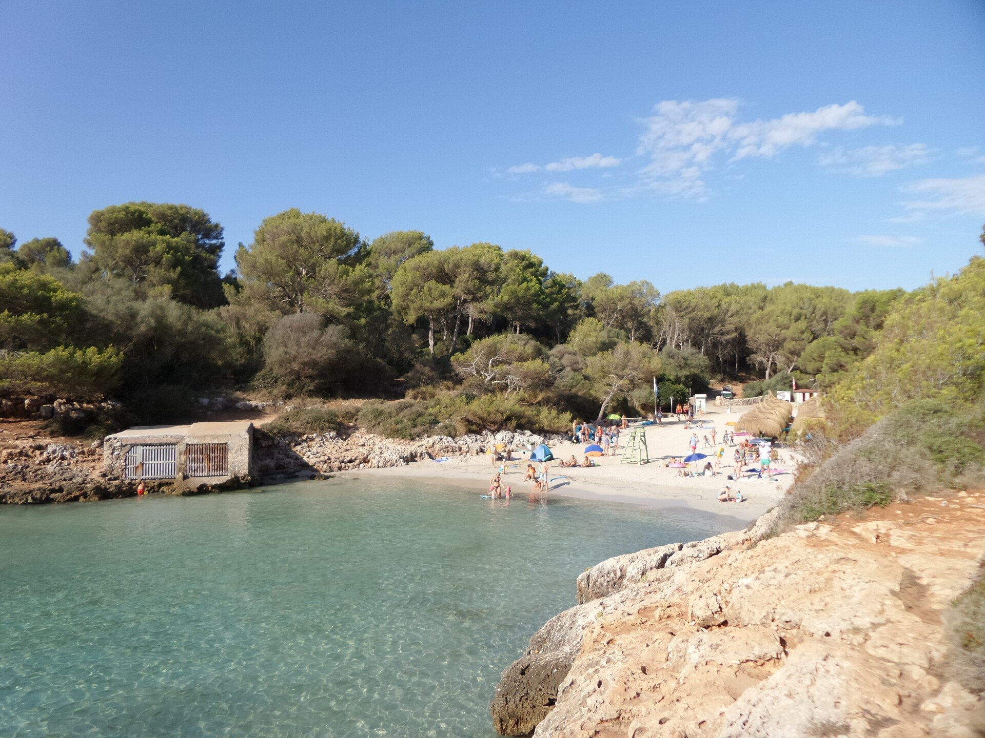 Cala sa Nau Mallorca: de smalle pijnboombaai bij Felanitx 1 De baai van Cala sa Nau met het zandstrand achterin, het gemetselde botenhuis links en pijnbos rondom