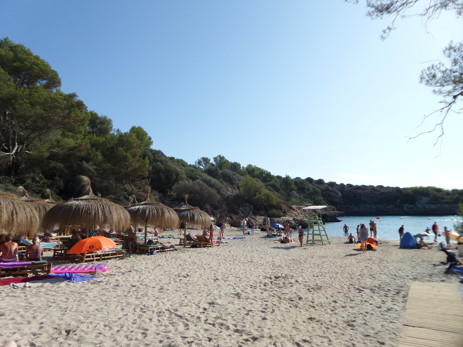 Cala sa Nau Mallorca: de smalle pijnboombaai bij Felanitx 2 Het zandstrand van Cala sa Nau met rieten parasols, ligbedden, de groene uitkijkstoel van de strandwacht en pijnbos erachter