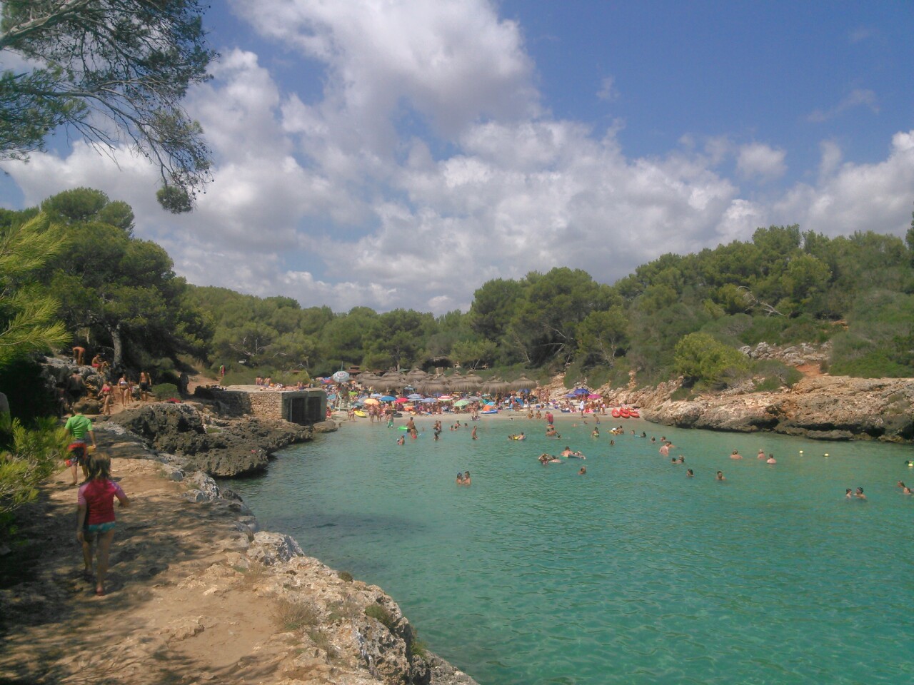 Cala sa Nau Mallorca: de smalle pijnboombaai bij Felanitx 3 Cala sa Nau op een drukke zomerdag, met zwemmers in het turquoise water en rieten parasols op het zand achterin
