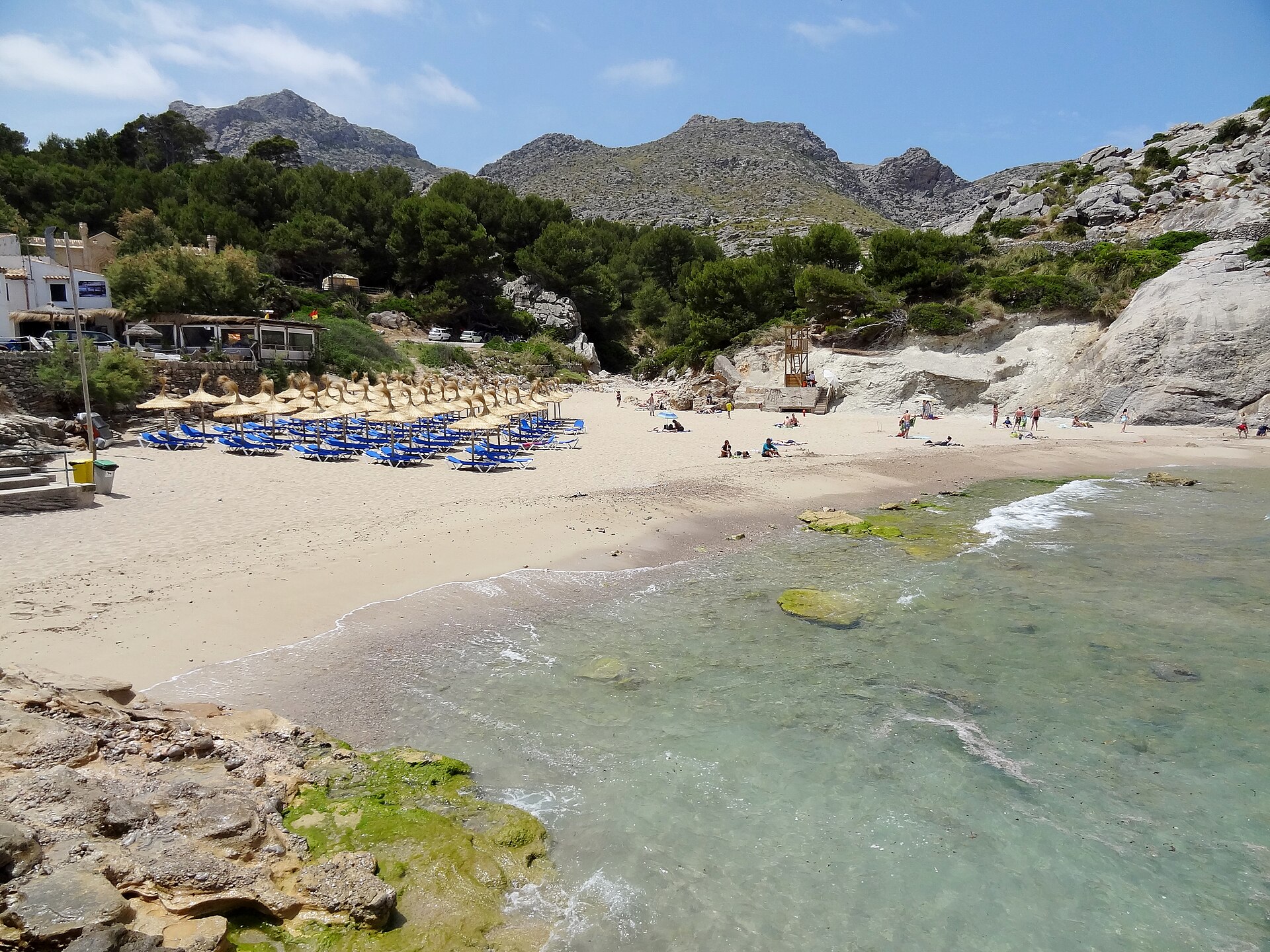 Het zandstrand van Cala Barques met rijen rieten parasols en blauwe ligbedden, met de kale bergen erachter