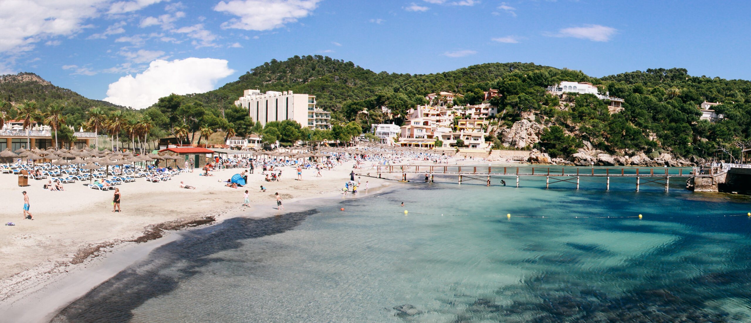Camp de Mar Mallorca: chic familiestrand met het eiland-restaurant 3 Panorama van de baai van Camp de Mar met rijen strooien parasols op het zand, helder turquoise water en hotels tussen de pijnbomen