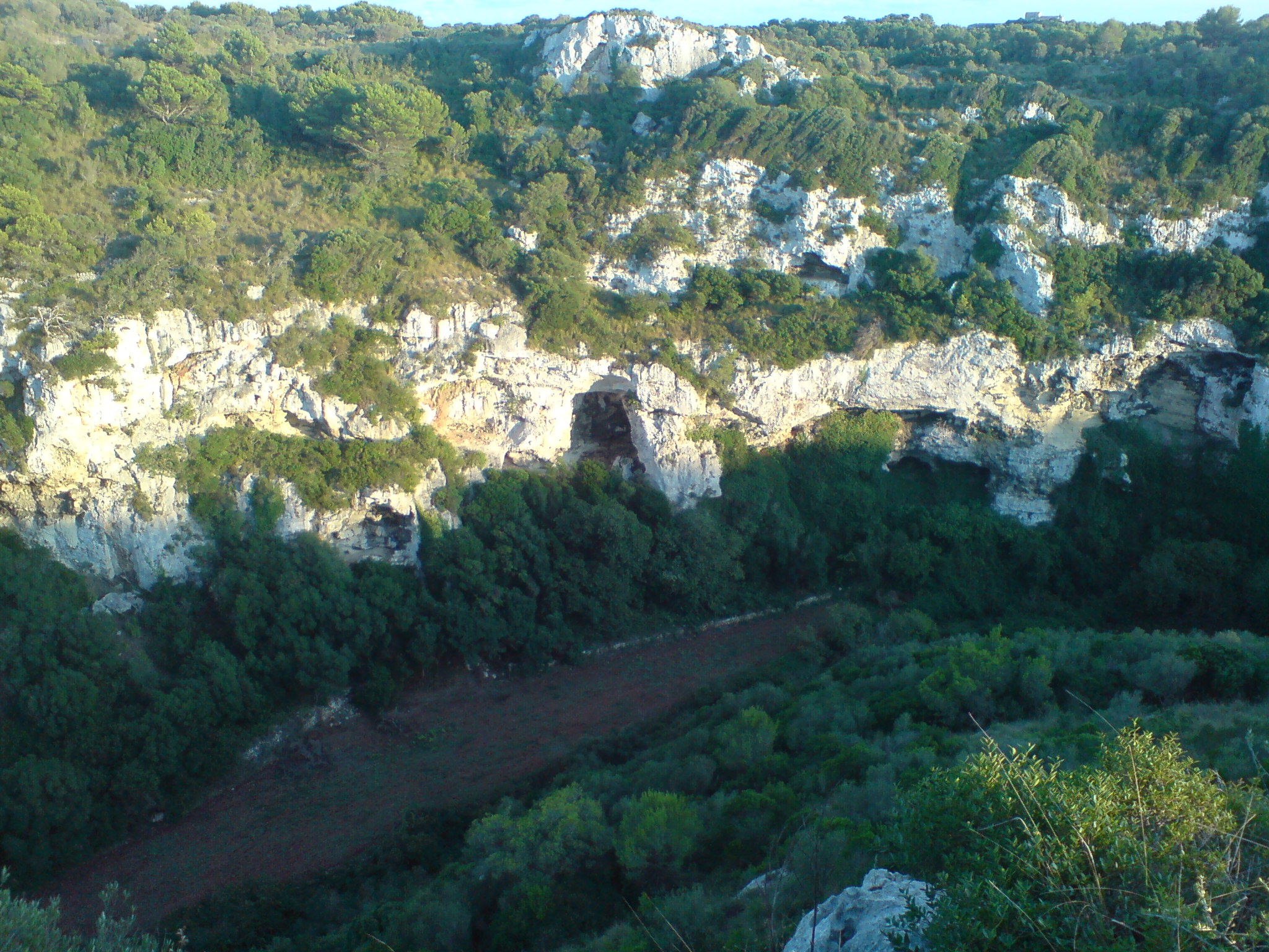 Kamperen op Menorca: twee campings, en waarom de rest niet mag 2 Het groene ravijn van Algendar bij Ferreries op Menorca, met steile wanden en dichte begroeiing