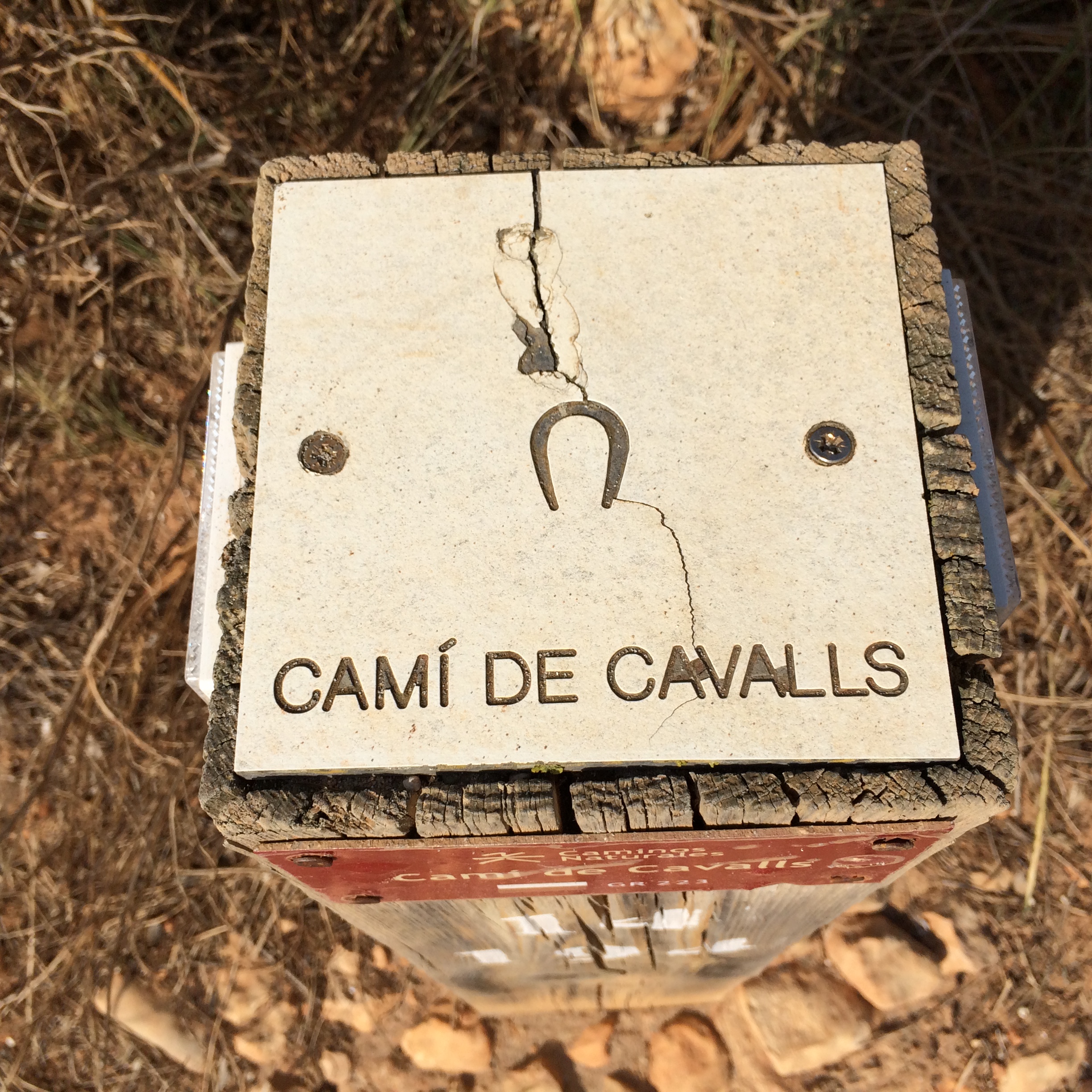 Kamperen op Menorca: twee campings, en waarom de rest niet mag 1 Een zandpad van het Camí de Cavalls op Menorca tussen lage begroeiing langs de kust